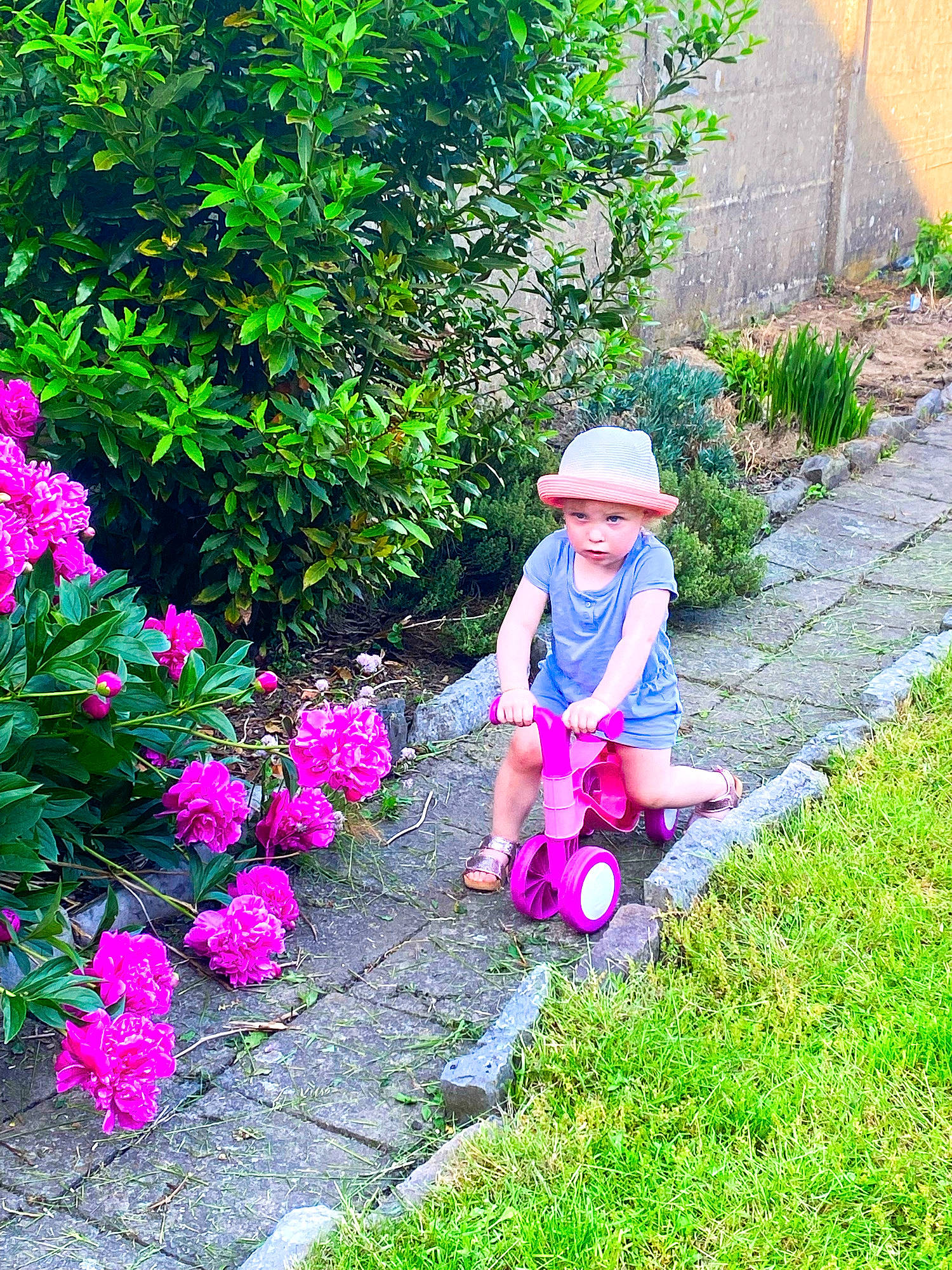 Livia-alabama a rejoint le concours — aidez-le/la à gagner de superbes lots ! annual_plant, baby_toddler_clothing, botany, flower, grass, green, groundcover, hat, headgear, headwear, landscape, leaf, leisure, magenta, people_in_nature, person, petal, pink, plant, rose
