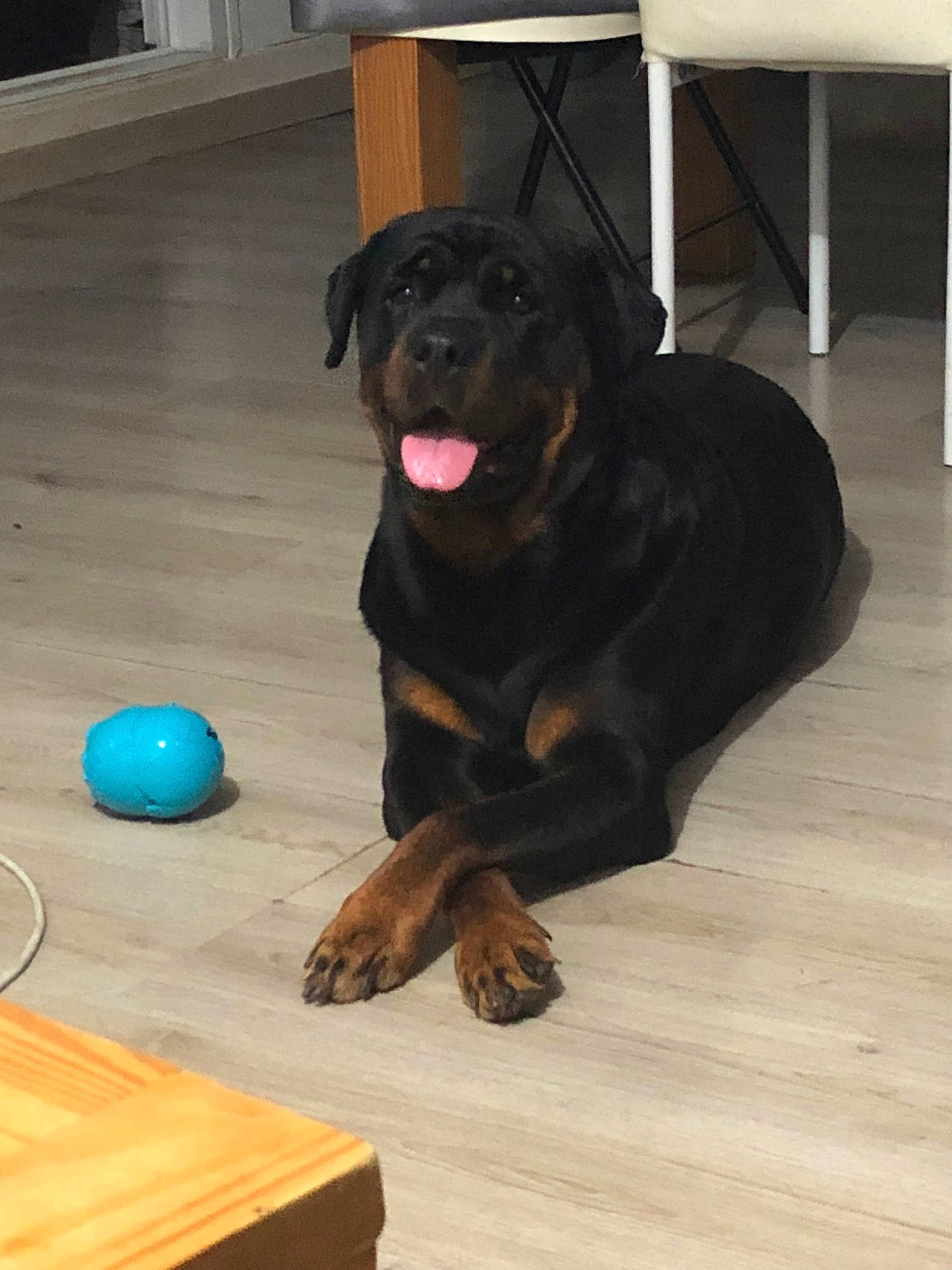 Mya