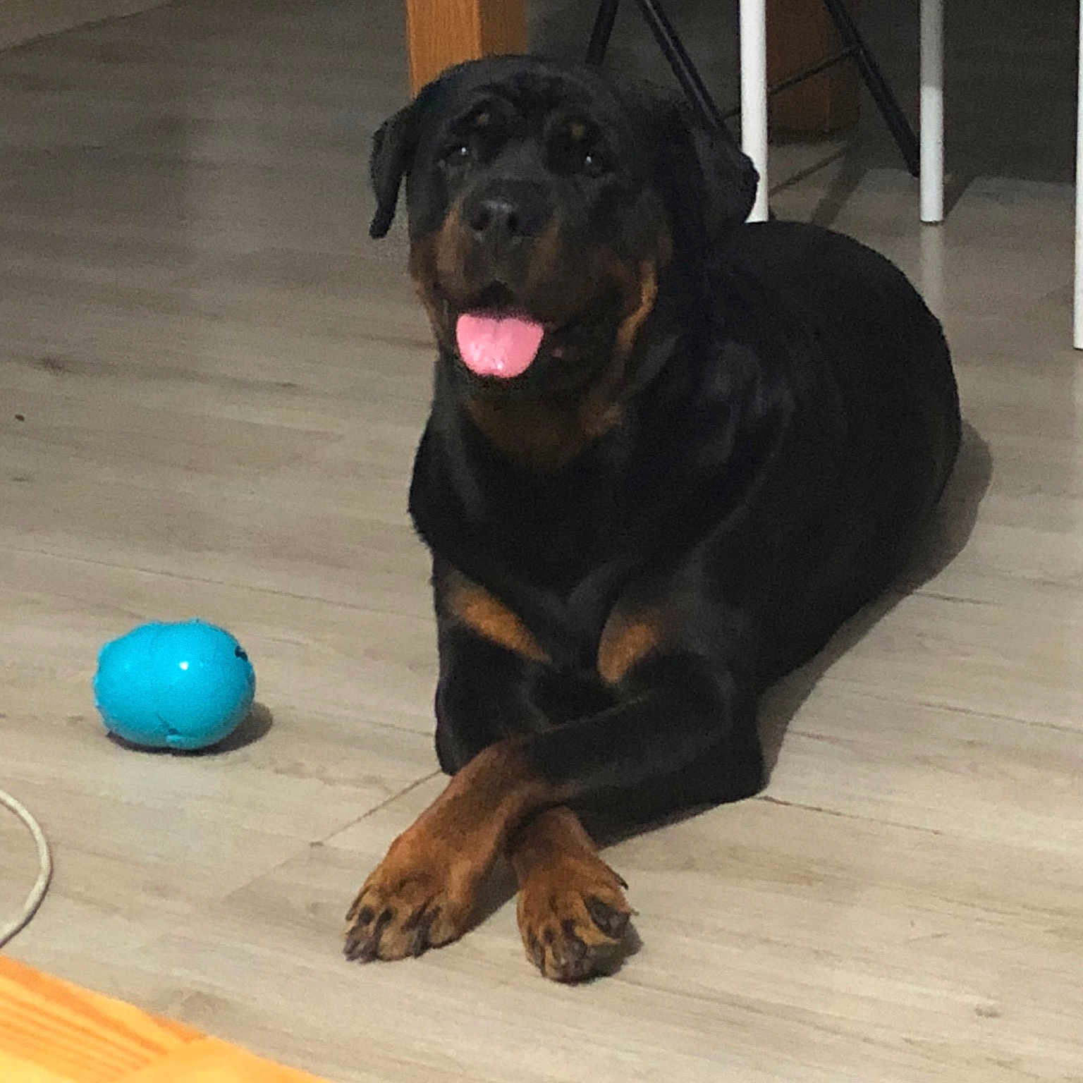 Mya
