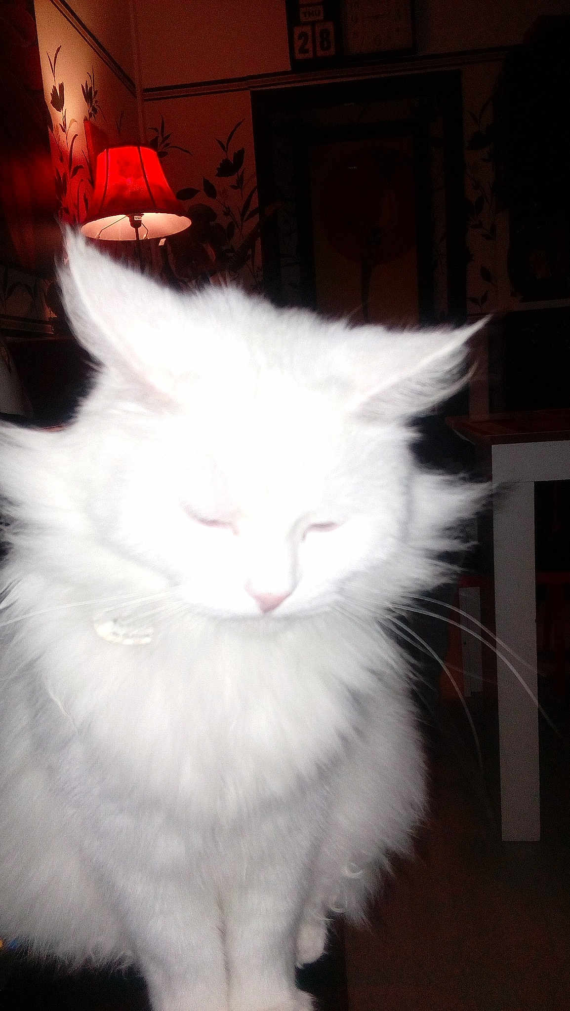 Blanco
