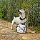 Ange