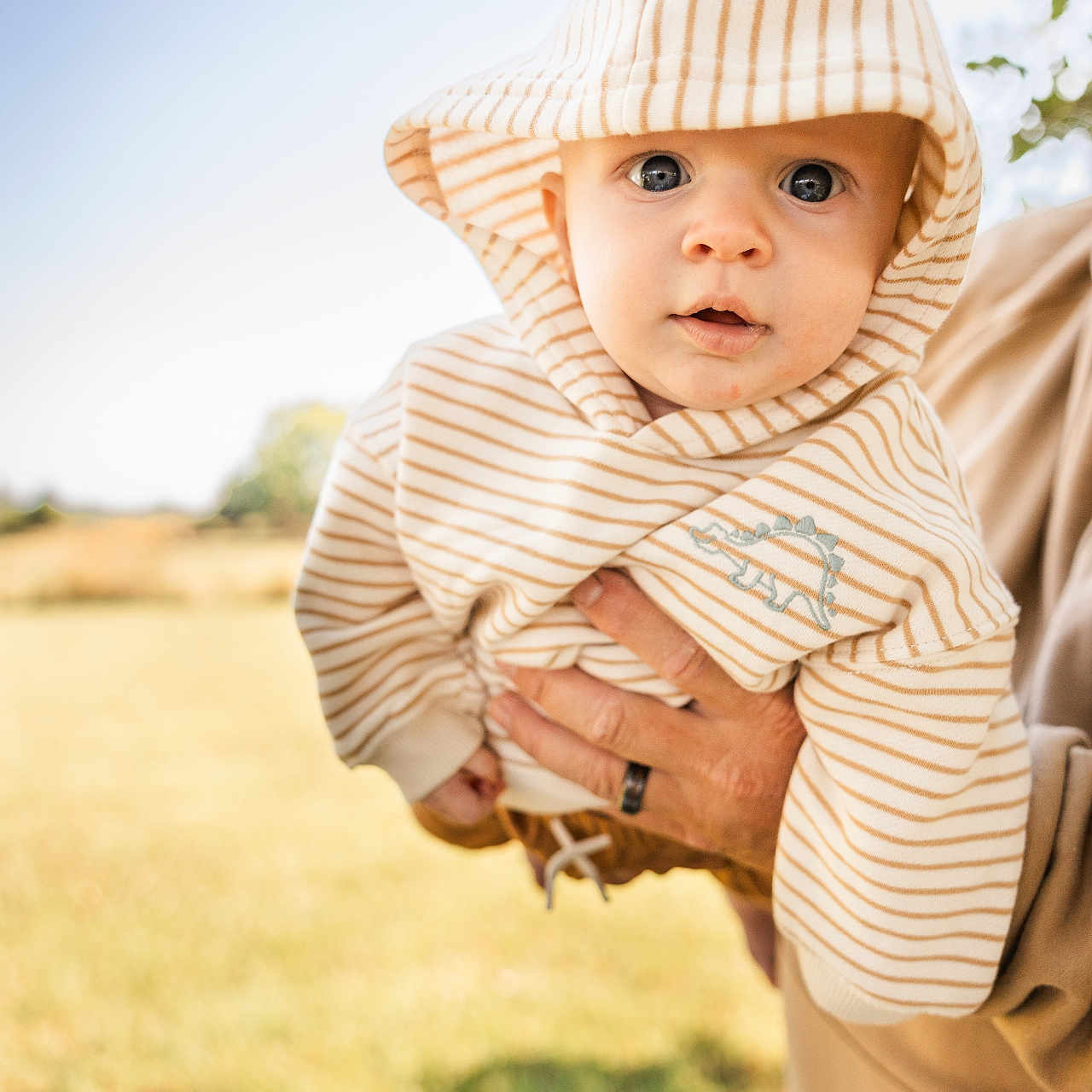 Jameson joined the competition — help win amazing prizes! baby, blue_sky, casual_clothing, child, curious, daylight, dinosaur, face, grass, hand, headwear, holding, hoodie, nature, outdoor, person, portrait, striped_clothing, sunny, young_child