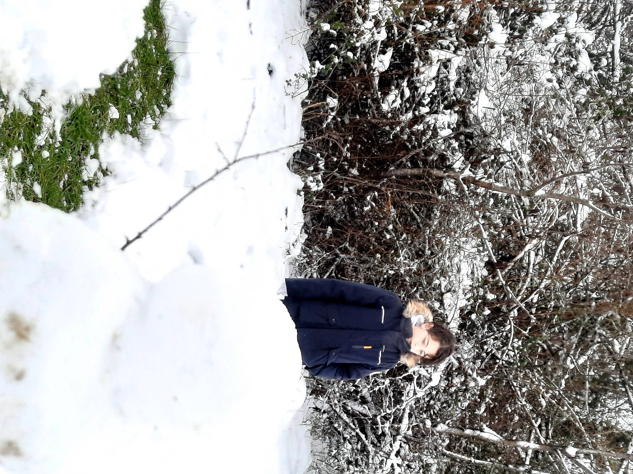 Yanis participe au concours pour gagner de l'argent avec cette photo : fir, freezing, frost, glove, ice, ice_cap, person, precipitation, safety_glove, snow, winter