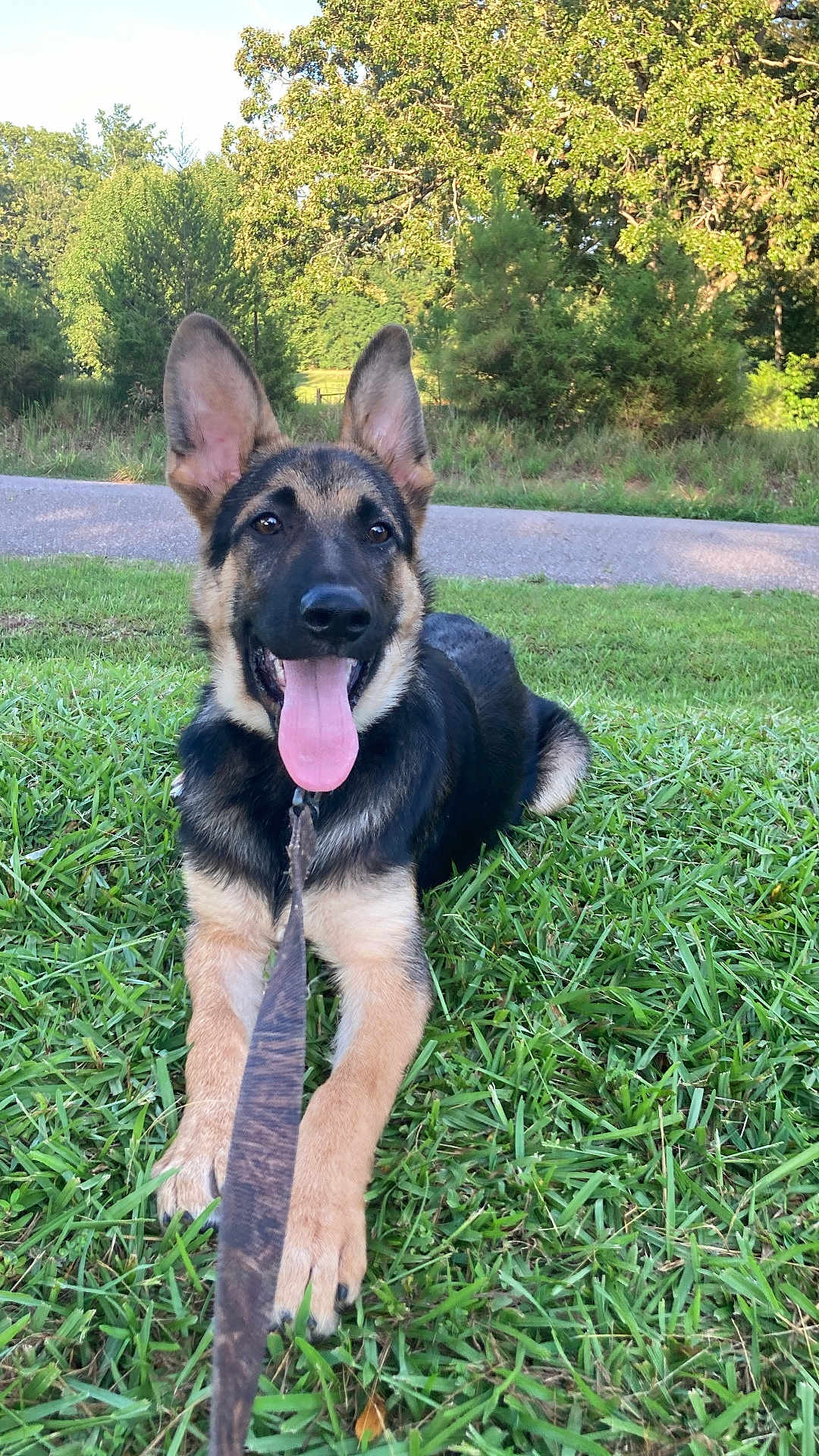 Jake