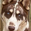 Gracie L.
