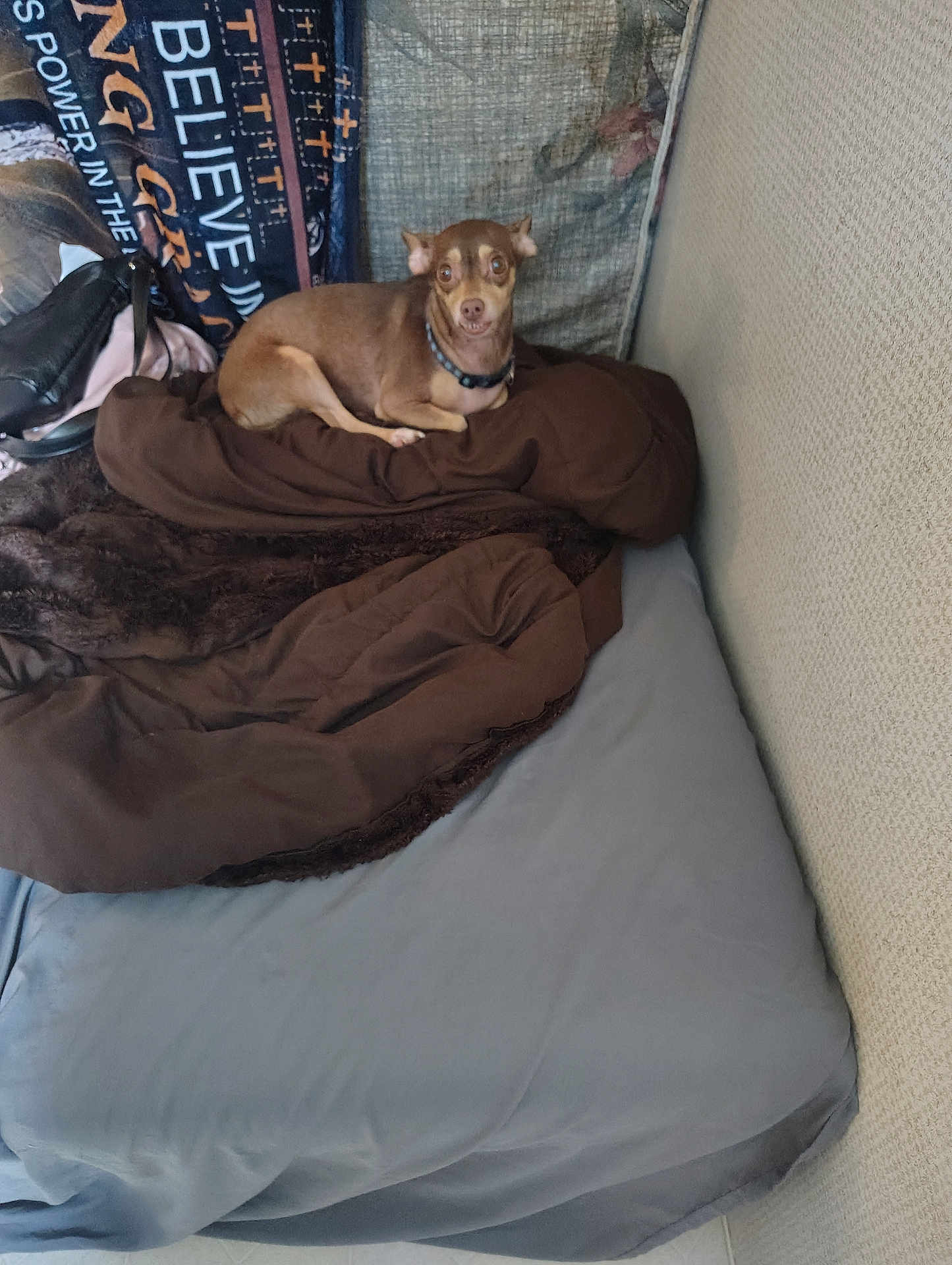 Cocoa