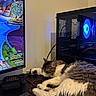 Apollon participe au concours pour gagner de l'argent avec cette photo : blue_light, cables, cat, computer, cozy, desk, electronics, gaming_pc, home_office, indoor, keyboard, monitor, mouse, pet, quiet, relaxation, resting, sleeping, tabby_cat, technology