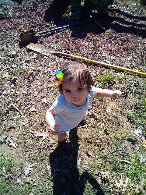 Grace is registered to the contest to win money with this photo: baby, baby_toddler_clothing, botany, child, fun, grass, groundcover, leaf, people_in_nature, person, play, rock, soil, t_shirt, terrestrial_plant, thumb, toddler, wood