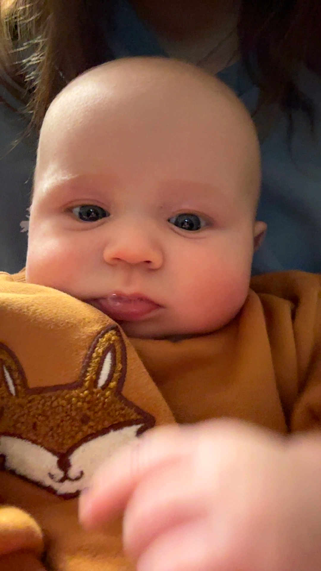 Kingston joined the competition — help win amazing prizes! baby, infant, child, face, eyes, cheeks, clothing, fox_design, brown_outfit, cute, portrait, closeup, expression, pouty, soft_skin, hand, young, indoor, warm_colors, adorable