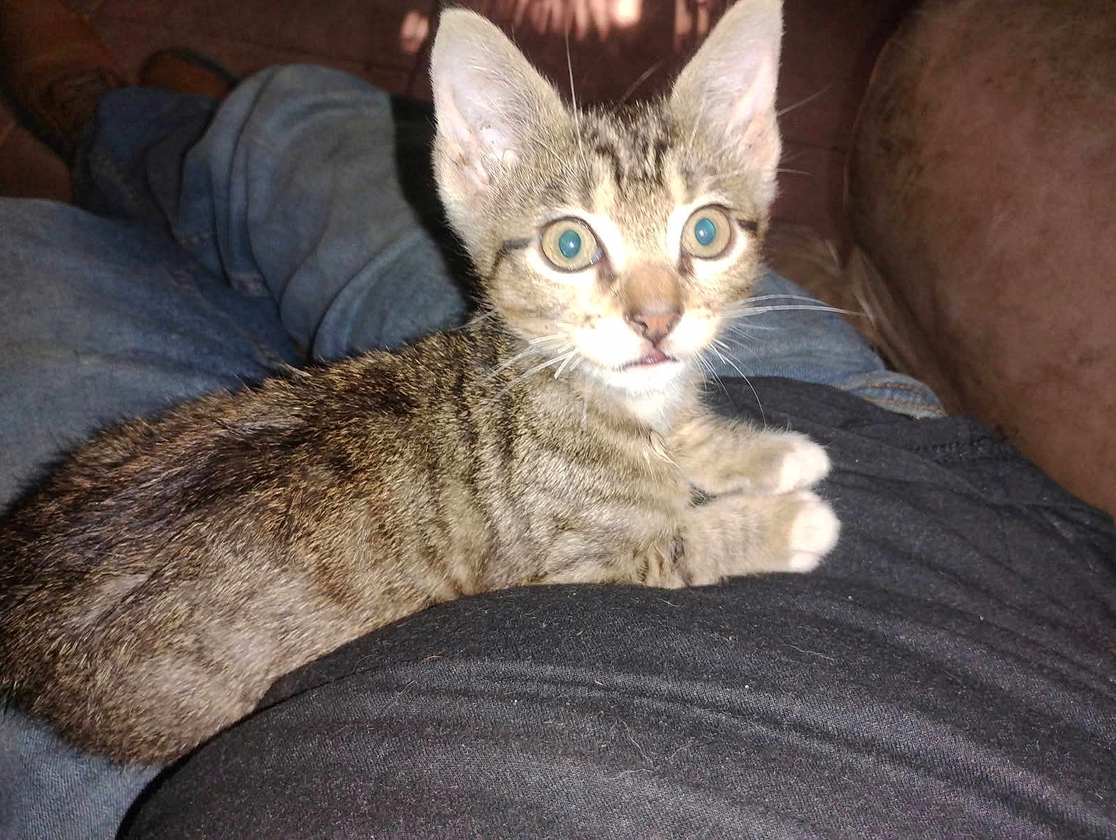 Tiny