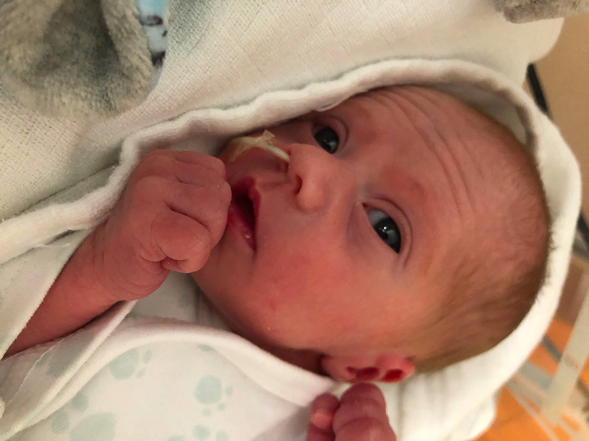 Octavia a rejoint le concours — aidez-le/la à gagner de superbes lots ! baby, baby_toddler_clothing, cheek, chin, comfort, ear, eye, eyebrow, eyelash, face, facial_expression, finger, gesture, human, iris, lip, mouth, nose, person, skin