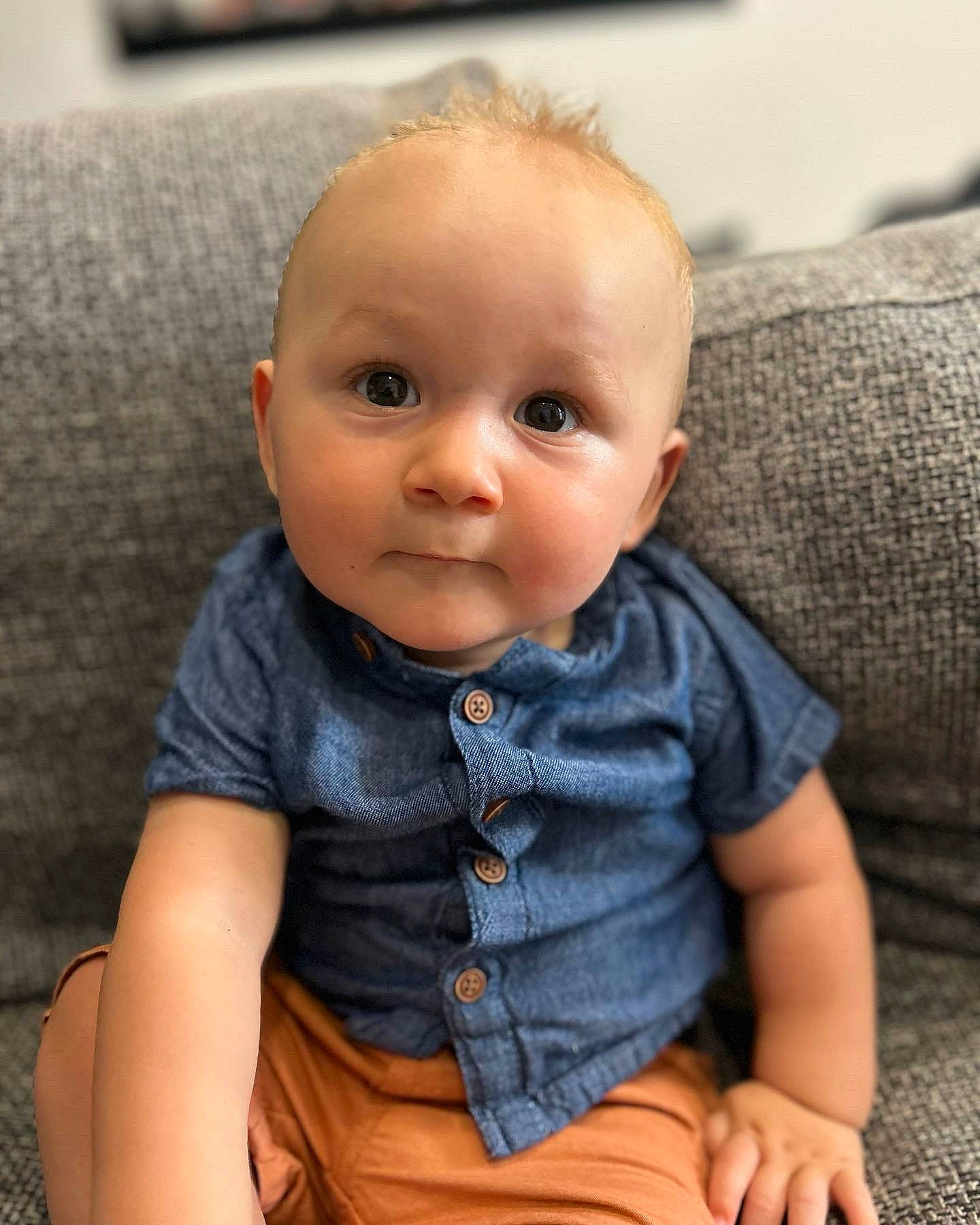 Maoh participe au concours pour gagner de l'argent avec cette photo : baby, baby_toddler_clothing, cheek, chest, child, collar, comfort, couch, grey, hair, head, iris, leg, lip, nose, person, sitting, skin, sleeve, t_shirt