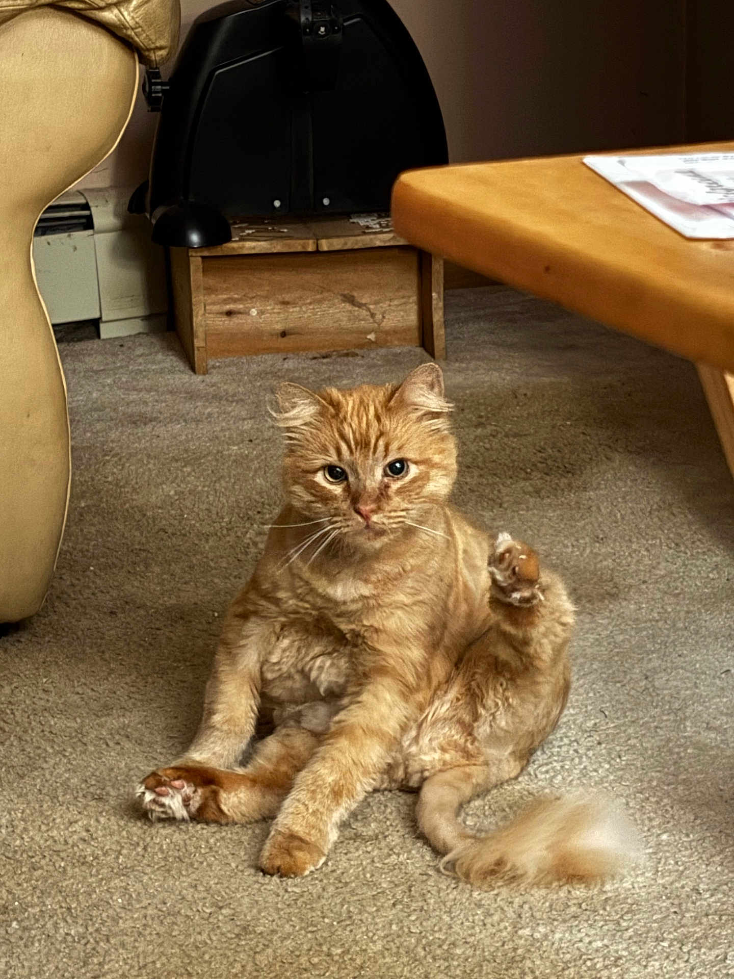 Sammy