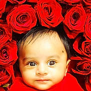 Mormozu is registered to the contest to win money with this photo: baby, infant, face, red_cloth, roses, flower, portrait, cute, closeup, skin, head, eyes, young_child, nature, flora, beauty, colorful, fresh, innocence, soft
