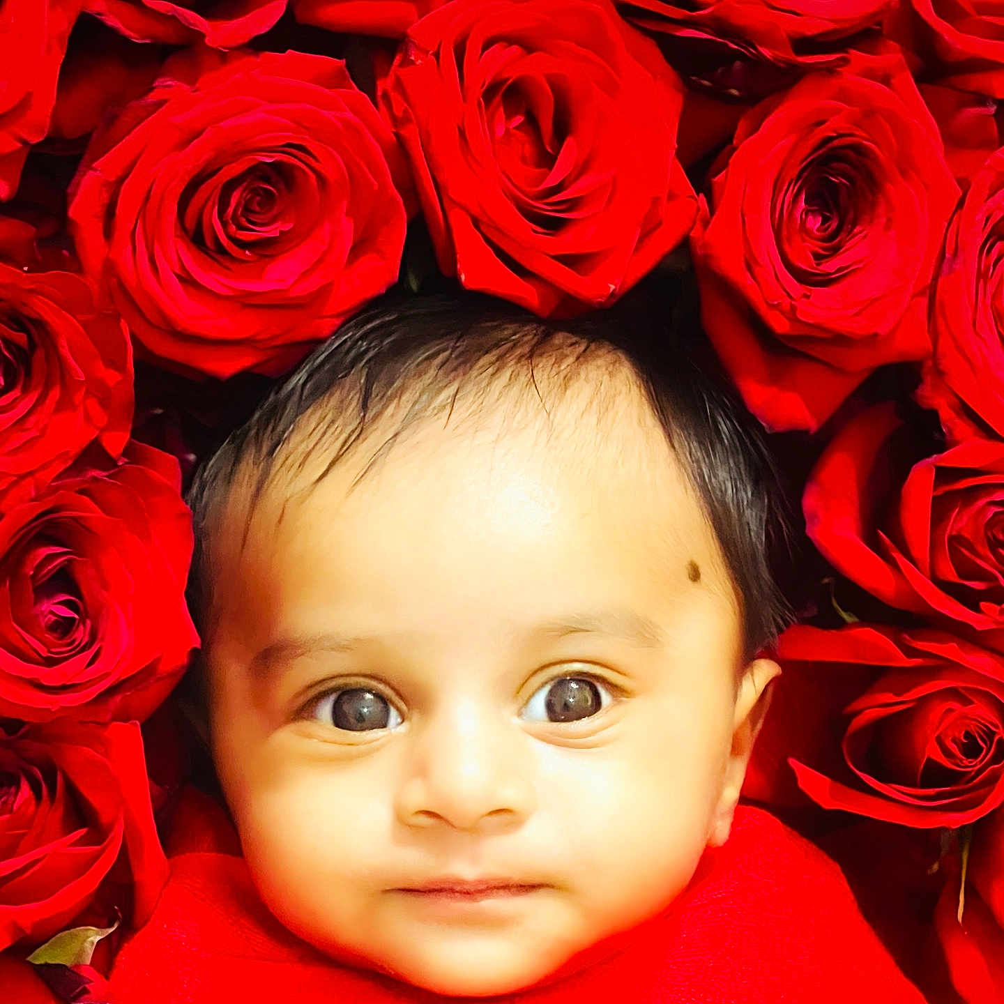 Mormozu is registered to the contest to win money with this photo: baby, beauty, closeup, colorful, cute, eyes, face, flora, flower, fresh, head, infant, innocence, nature, portrait, red_cloth, roses, skin, soft, young_child