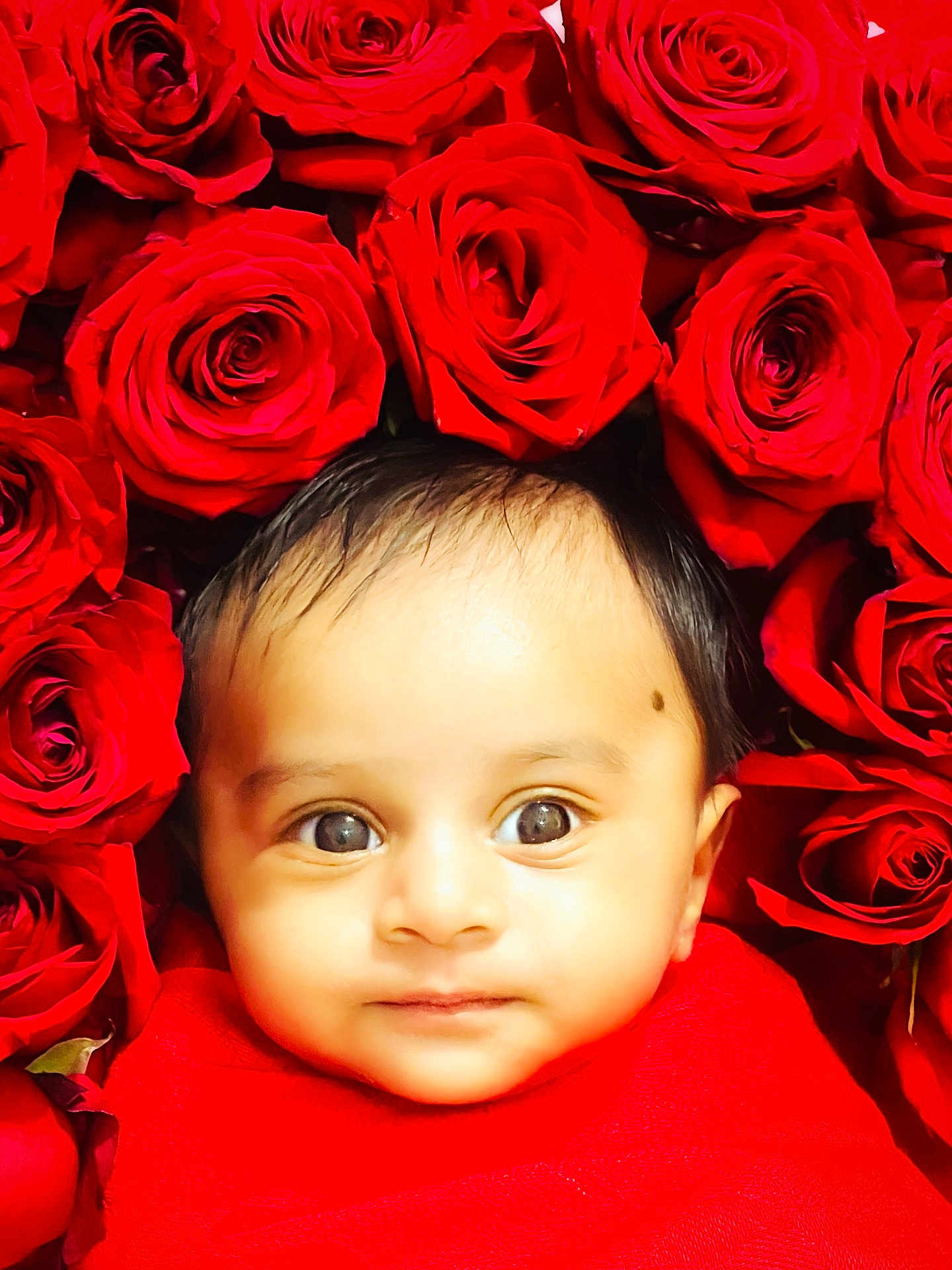 Mormozu is registered to the contest to win money with this photo: baby, infant, face, red_cloth, roses, flower, portrait, cute, closeup, skin, head, eyes, young_child, nature, flora, beauty, colorful, fresh, innocence, soft
