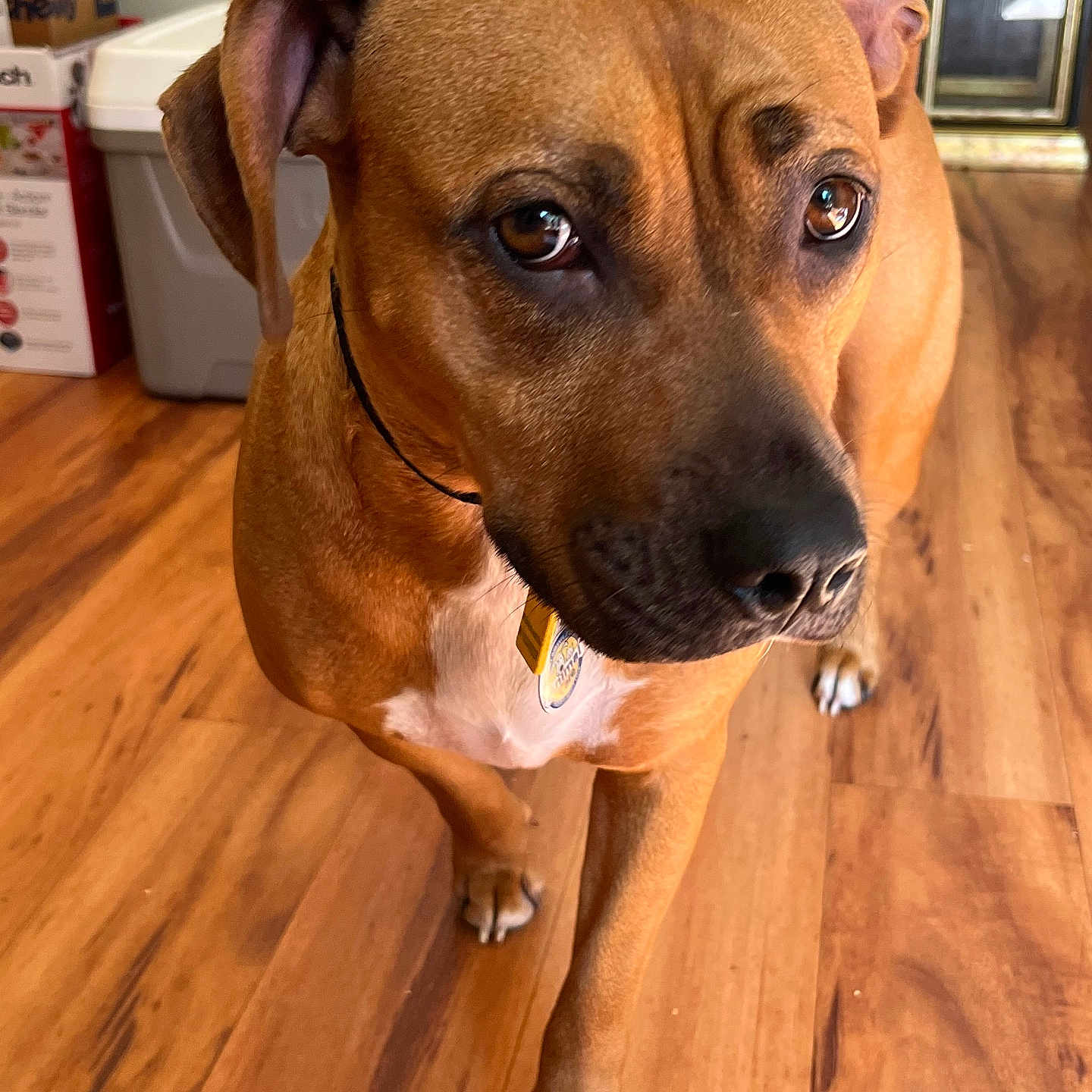 Charlie