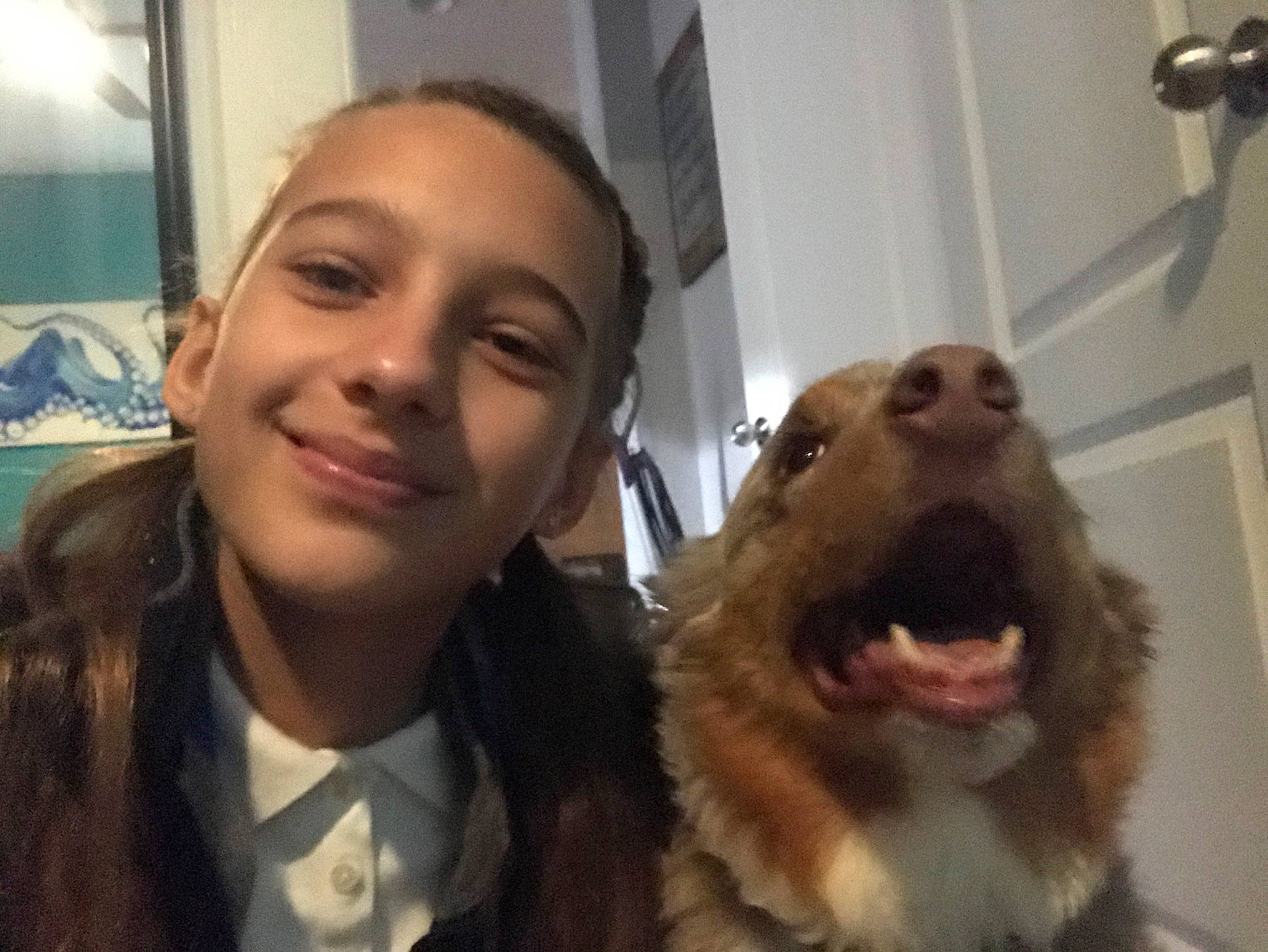 Myles joined the competition — help win amazing prizes! canidae, carnivore, companion_dog, dog, dog_breed, fur, head, jaw, mouth, nose, photography, puppy_love, selfie, smile, snout, sporting_group, tooth