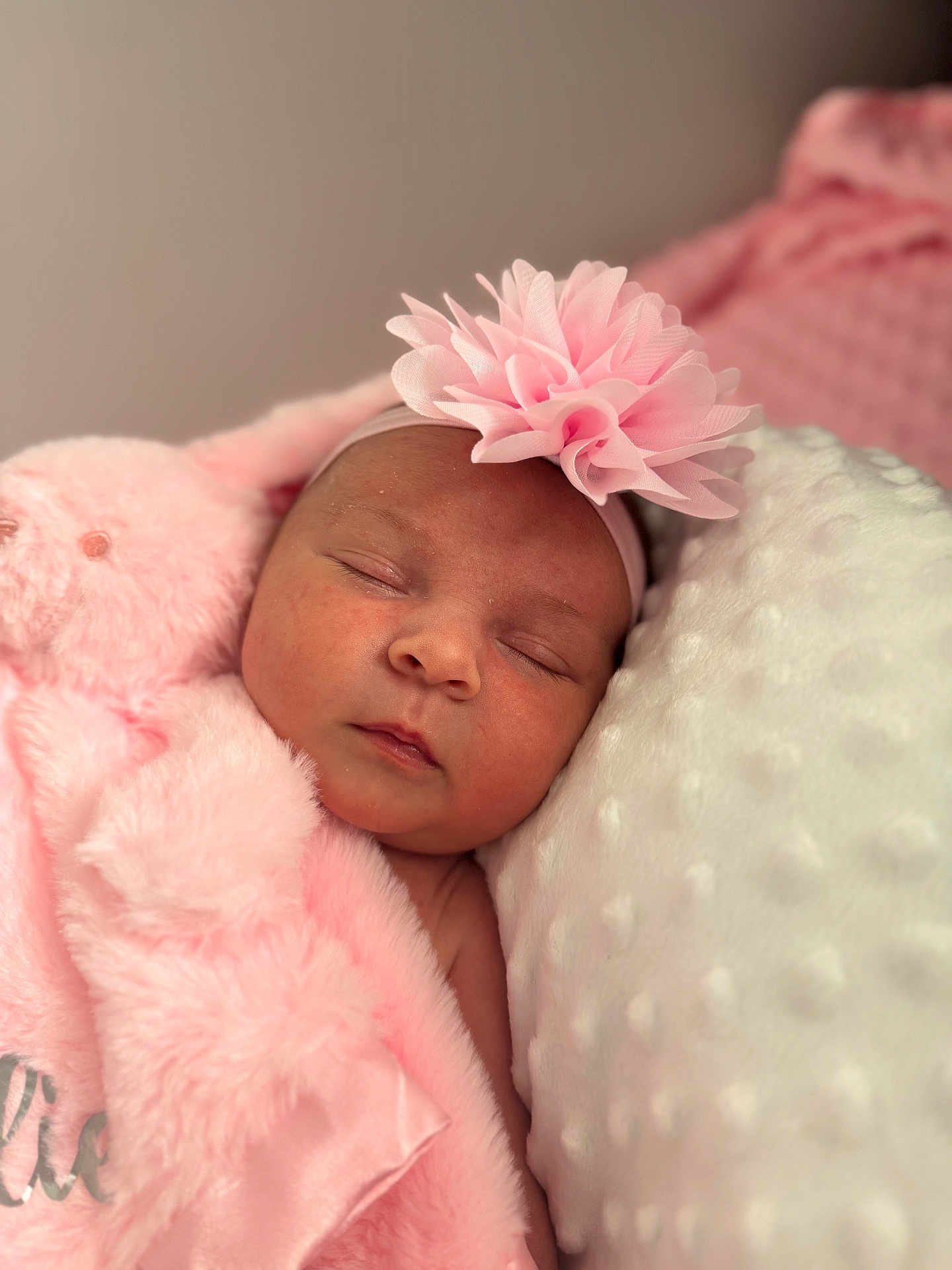 Millie is registered to the contest to win money with this photo: baby, newborn, sleeping, pink_flower, headband, blanket, soft_texture, pillow, closeup, face, peaceful, child, infant, cozy, resting, indoor, portrait, cute, sleep, skin