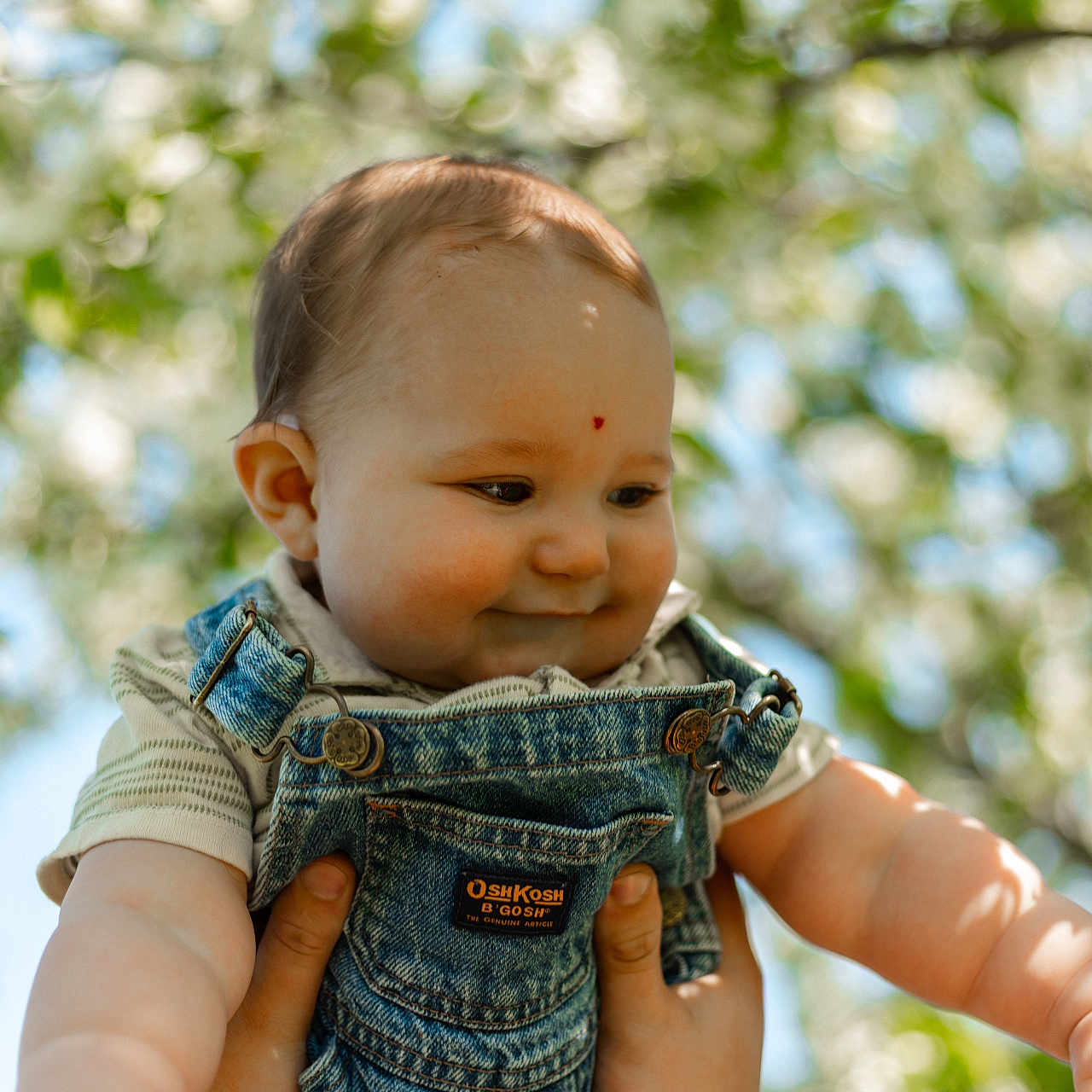 James is registered to the contest to win money with this photo: baby, bodypart, clothing, coat, face, finger, hand, happy, head, jacket, jeans, pants, person, photography, plant, portrait, shorts, smile, tree, vest