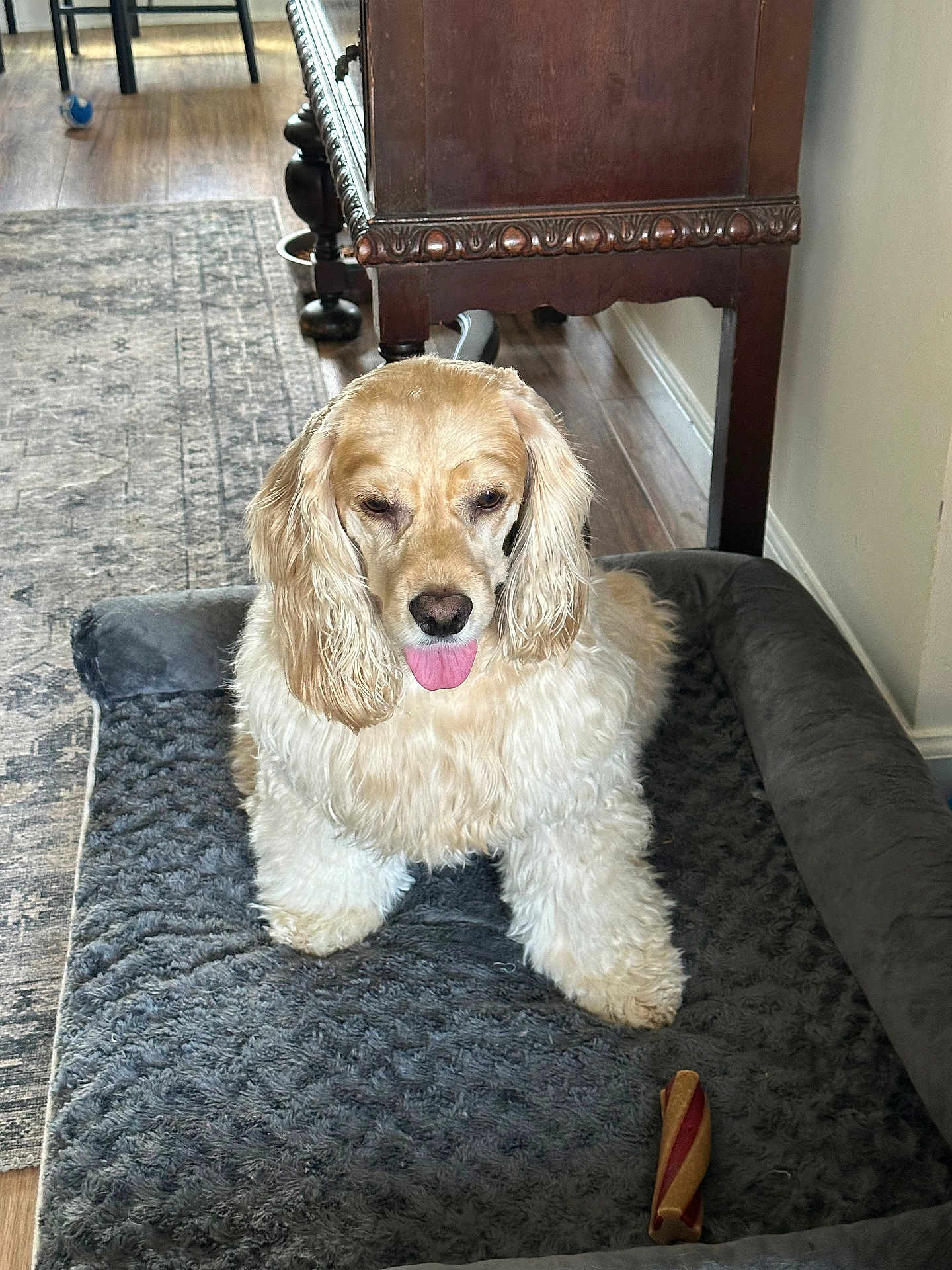 Chester