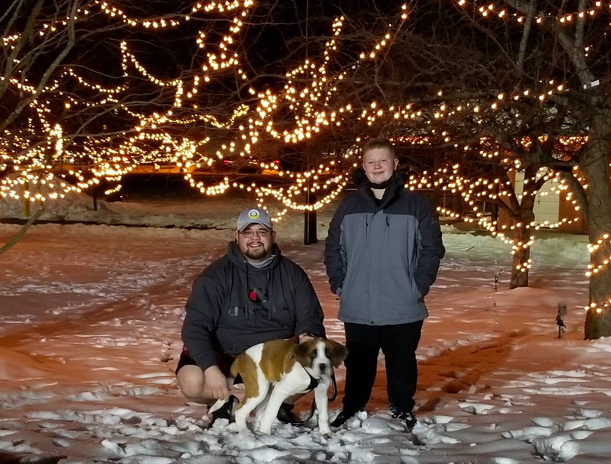 Nuka is registered to the contest to win money with this photo: branch, carnivore, dog, flash_photography, freezing, fun, happy, human, jacket, leisure, light, mammal, midnight, photograph, plant, smile, snow, tree, winter, woody_plant