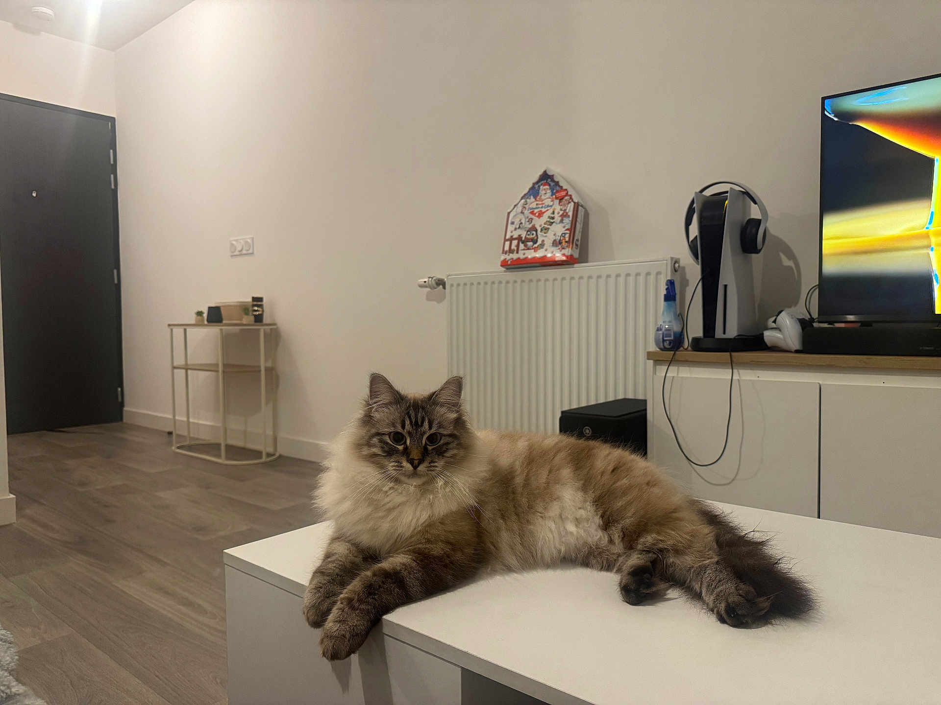 Zizou participe au concours pour gagner de l'argent avec cette photo : cat, fluffy_cat, table, living_room, radiator, television, gaming_console, headphones, floor, door, modern_interior, decor, relaxed, pet, furniture, indoor, cozy, household, white_table, wood_floor