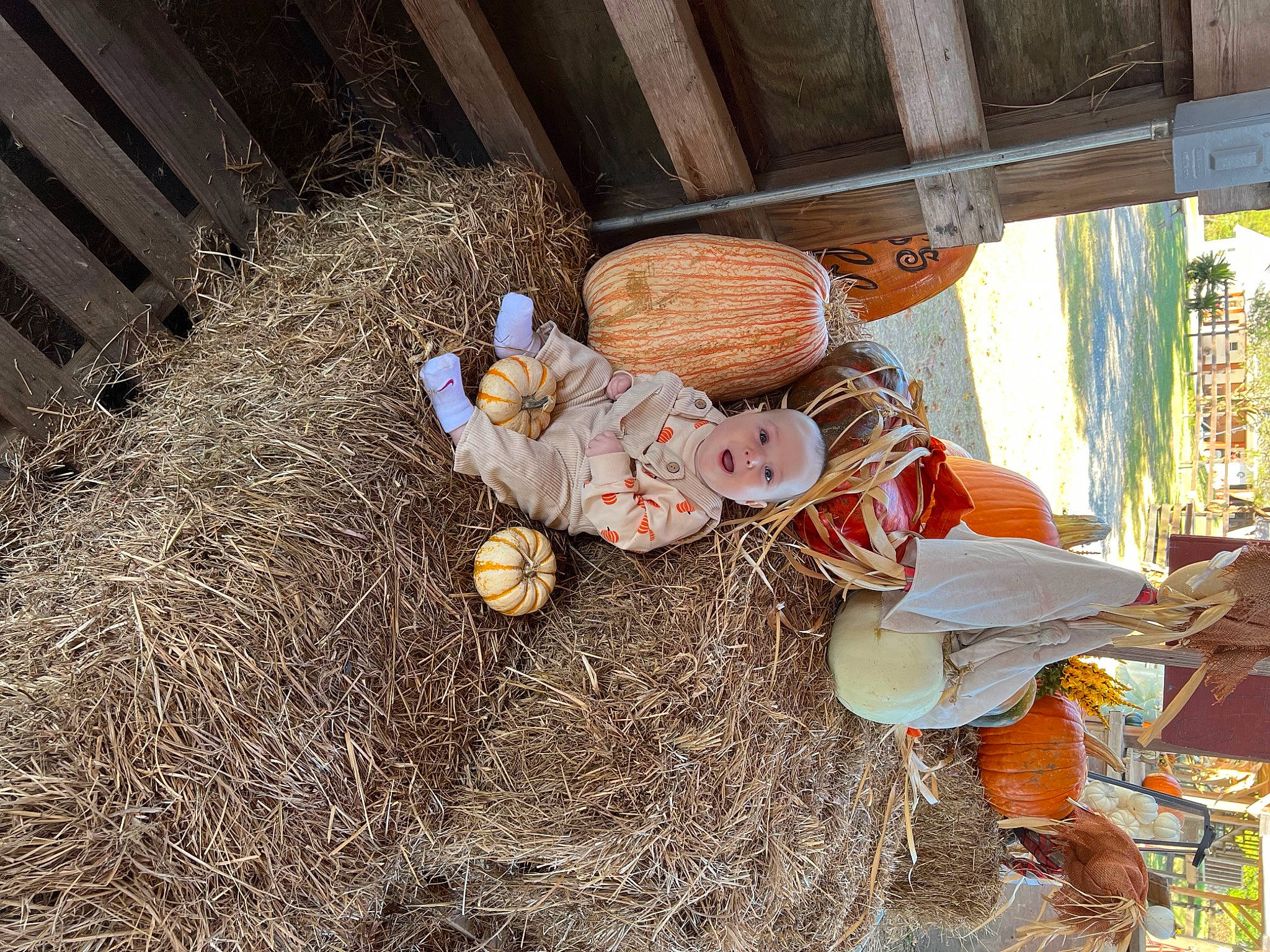 Azrael joined the competition — help win amazing prizes! agriculture, art, grass, hat, hay, lawn_ornament, natural_material, person, plant, scarecrow, soil, straw, toy, tree, trunk, twig, wood