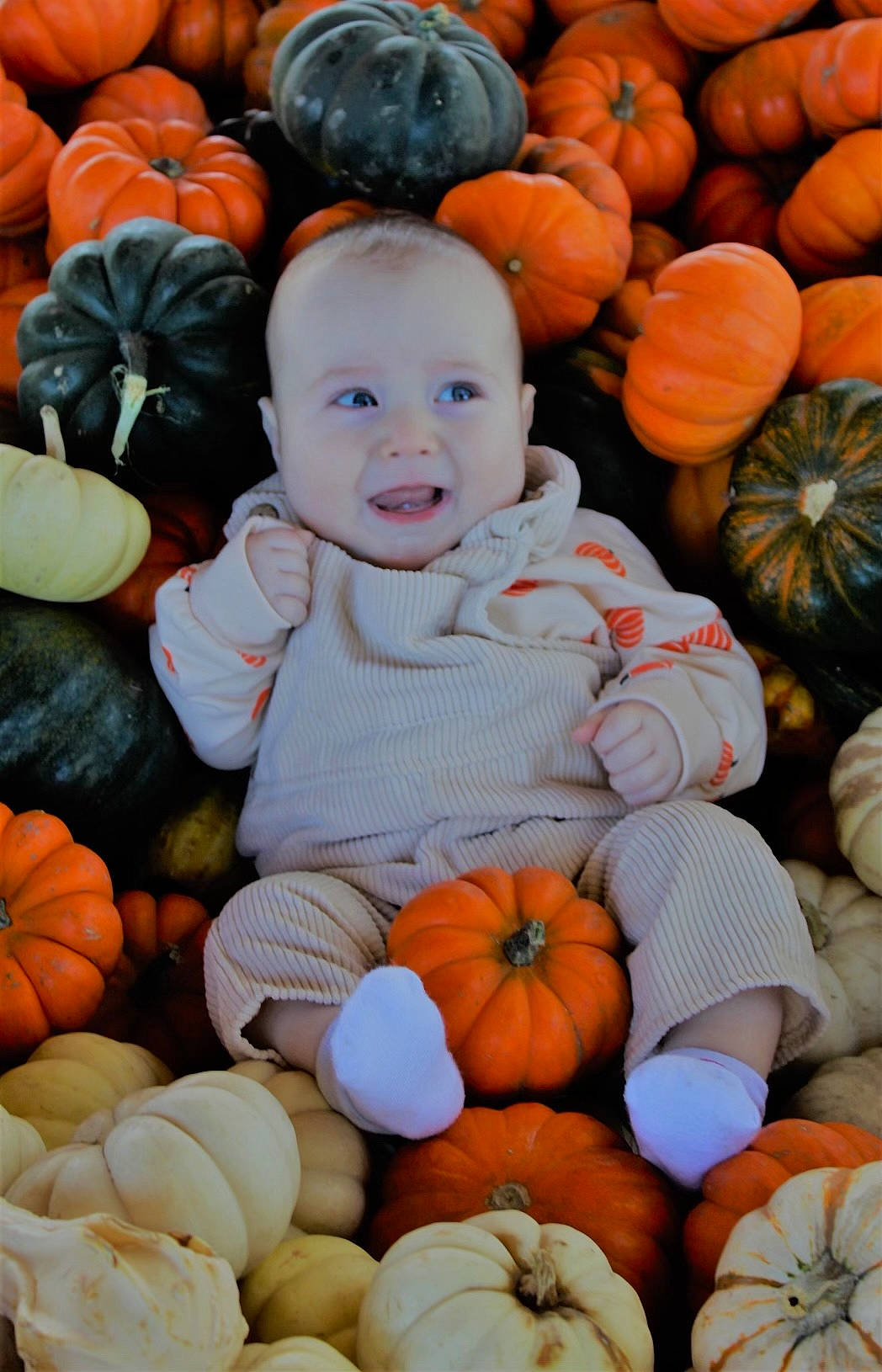 Azrael is registered to the contest to win money with this photo: calabaza, cucurbita, facial_expression, fruit, gourd, happy, local_food, natural_foods, orange, people, person, photograph, plant, produce, pumpkin, smile, snapshot, squash, vegetable, whole_food