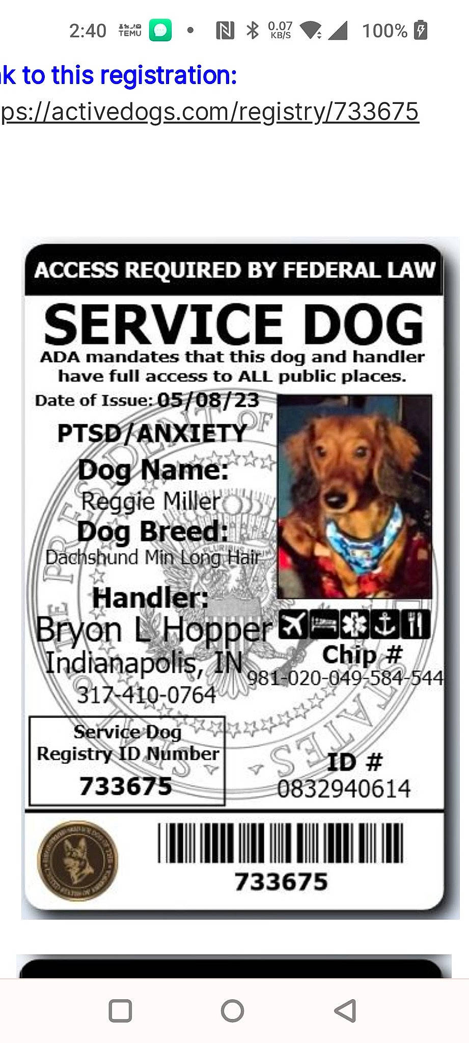 Mr Reggie Miller is registered to the contest to win money with this photo: advertising, canidae, carnivore, collar, companion_dog, dog, dog_breed, dog_supply, font, news, newspaper, pet_supply, poster, publication, sporting_group, working_animal