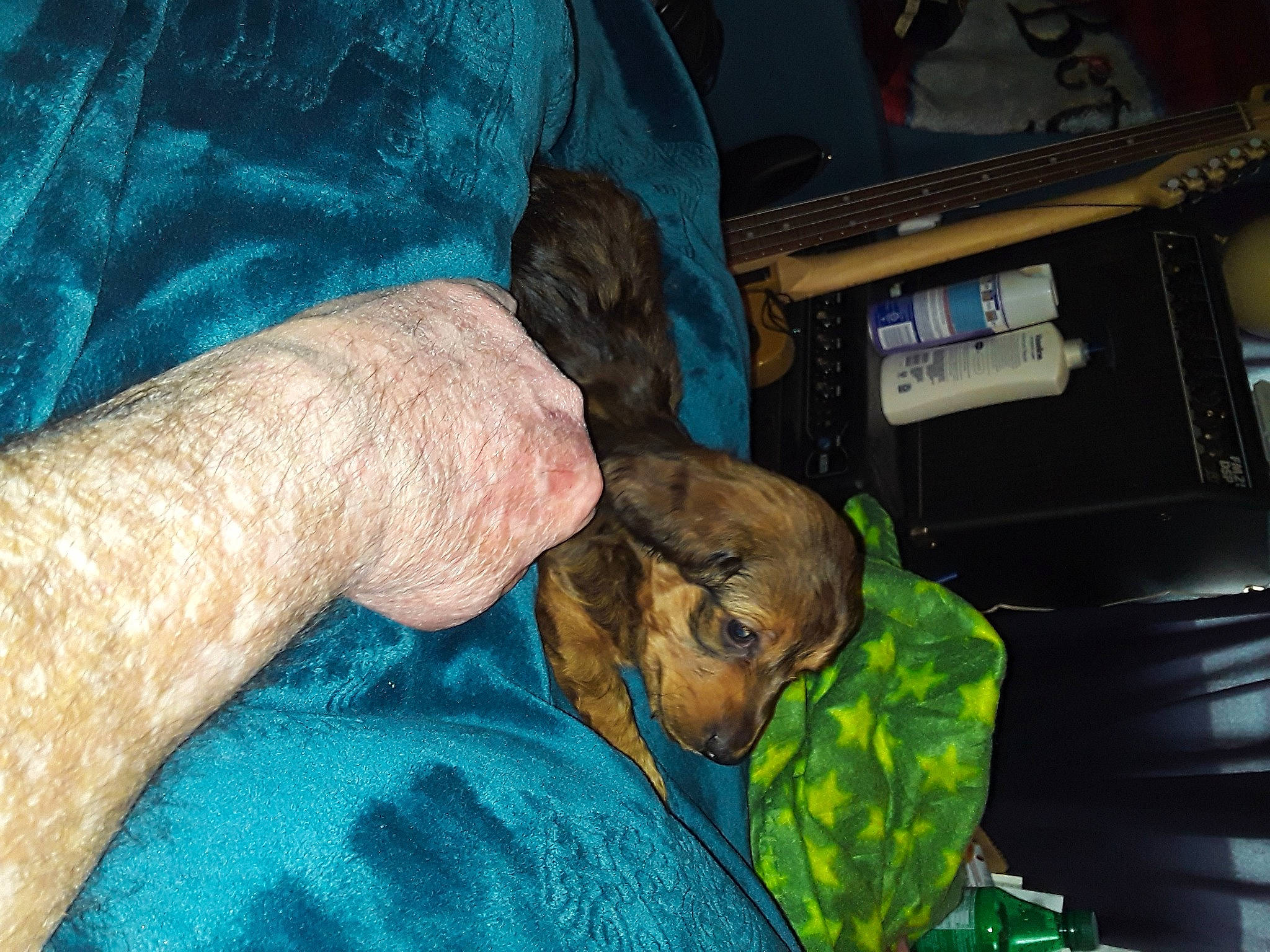 Mr Reggie Miller joined the competition — help win amazing prizes! auto_part, canidae, electric_blue, fur, human_leg, machine, nail, sporting_group, wrinkle, wrist