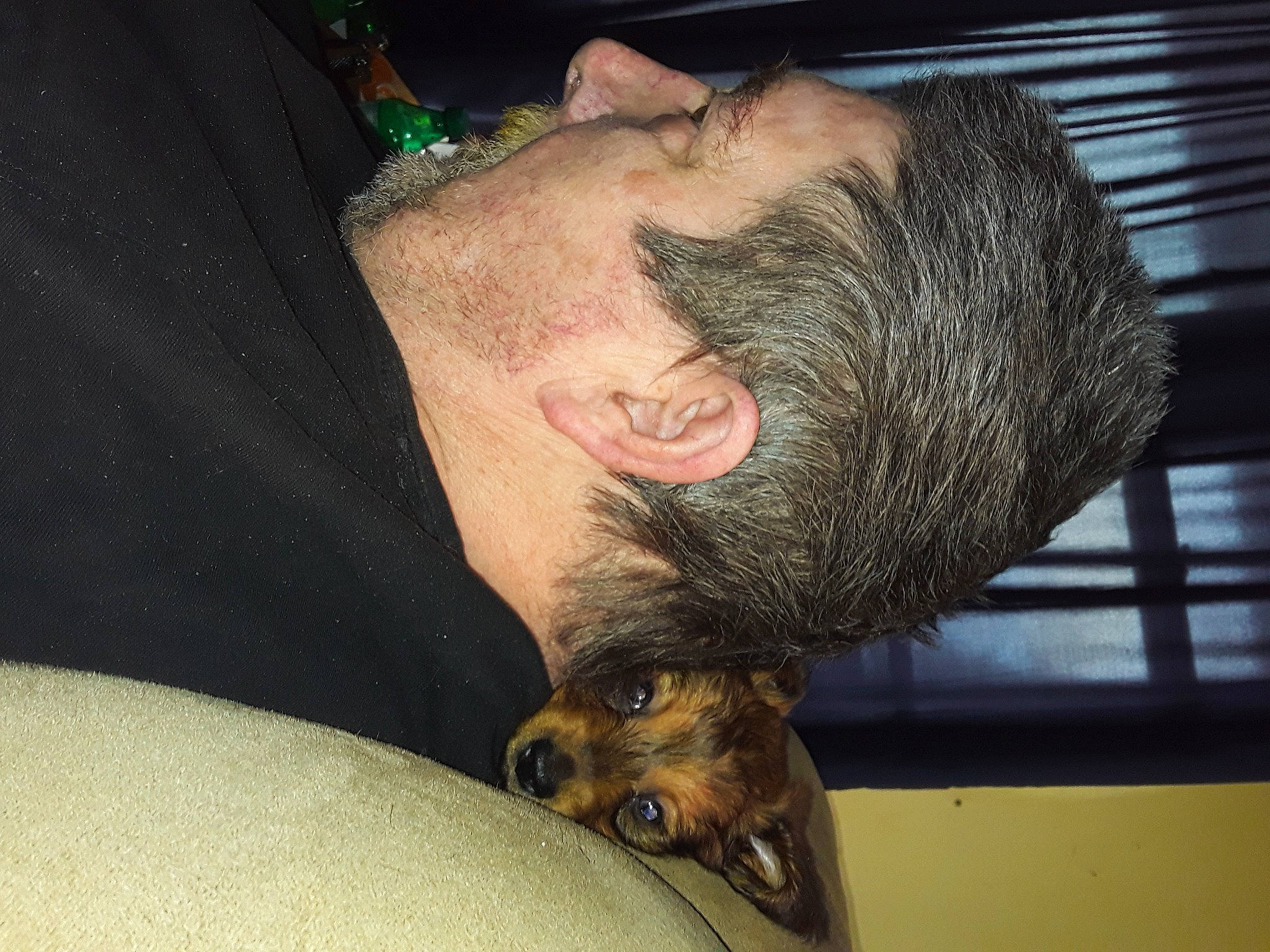 Mr Reggie Miller joined the competition — help win amazing prizes! beard, carnivore, chest, comfort, companion_dog, dog_breed, ear, elbow, eyelash, facial_hair, flesh, fur, jaw, snout, tattoo, terrestrial_animal, throat, whiskers, wrinkle, wrist