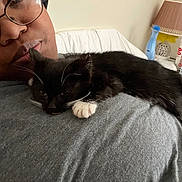Midnight is registered to the contest to win money with this photo: animal, black_and_white, cat, close_up, couch, cozy, eyewear, face, furniture, glasses, indoor, kitten, lamp, person, pet, relaxation, resting, sleeping, soft_lighting, whiskers