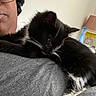 Midnight joined the competition — help win amazing prizes! animal, black_and_white_cat, bonnet, cat, close_up, cozy, fur, furniture, glasses, home, human_face_partial, indoor, lamp, person, pet, relaxing, resting, shoulder, spray_bottle, whiskers