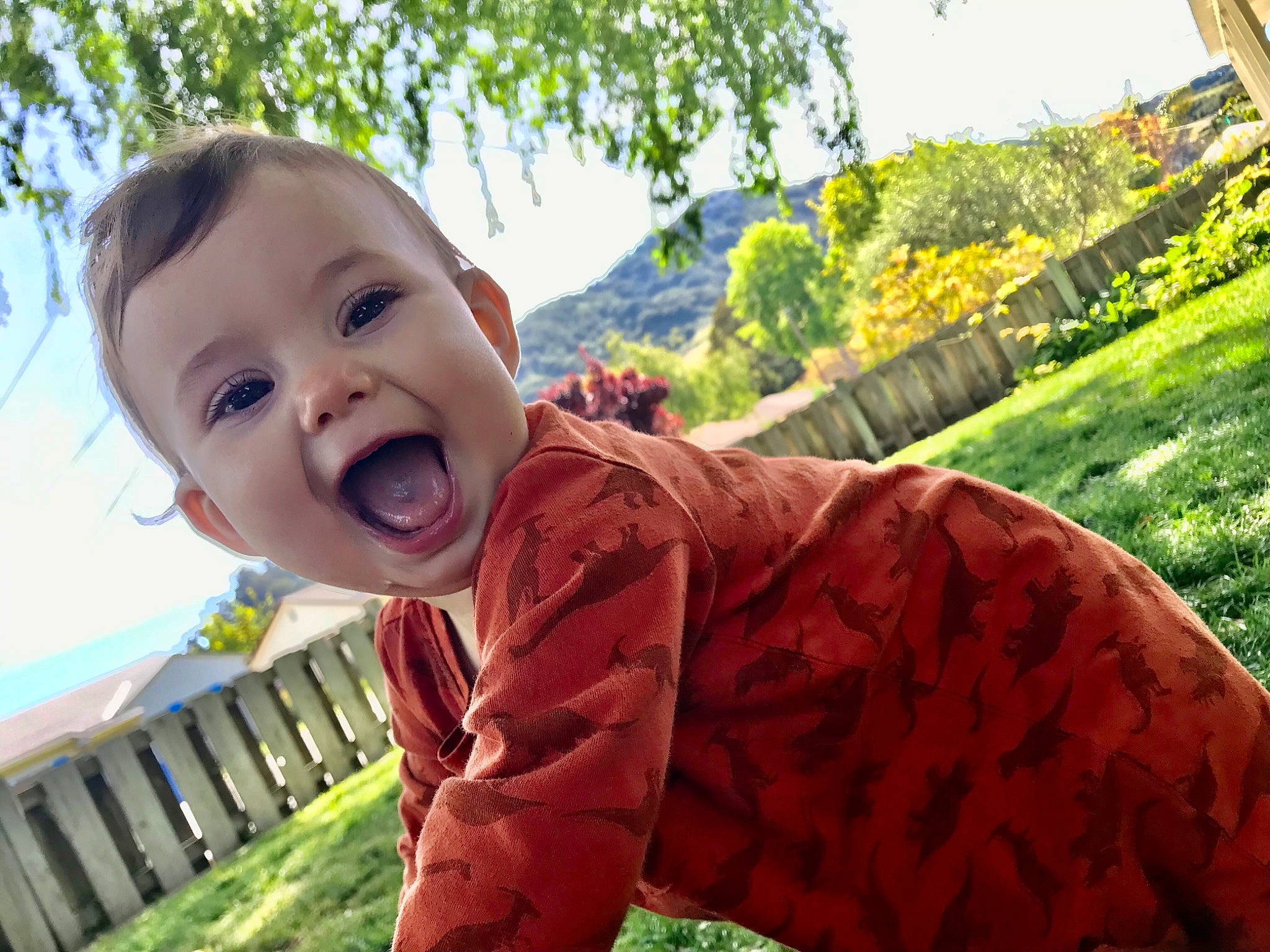 Sydney is registered to the contest to win money with this photo: baby, baby_toddler_clothing, botany, eye, fun, grass, grass_family, green, happy, lawn, leisure, people_in_nature, person, plant, recreation, sitting, sky, smile, sunlight, toddler