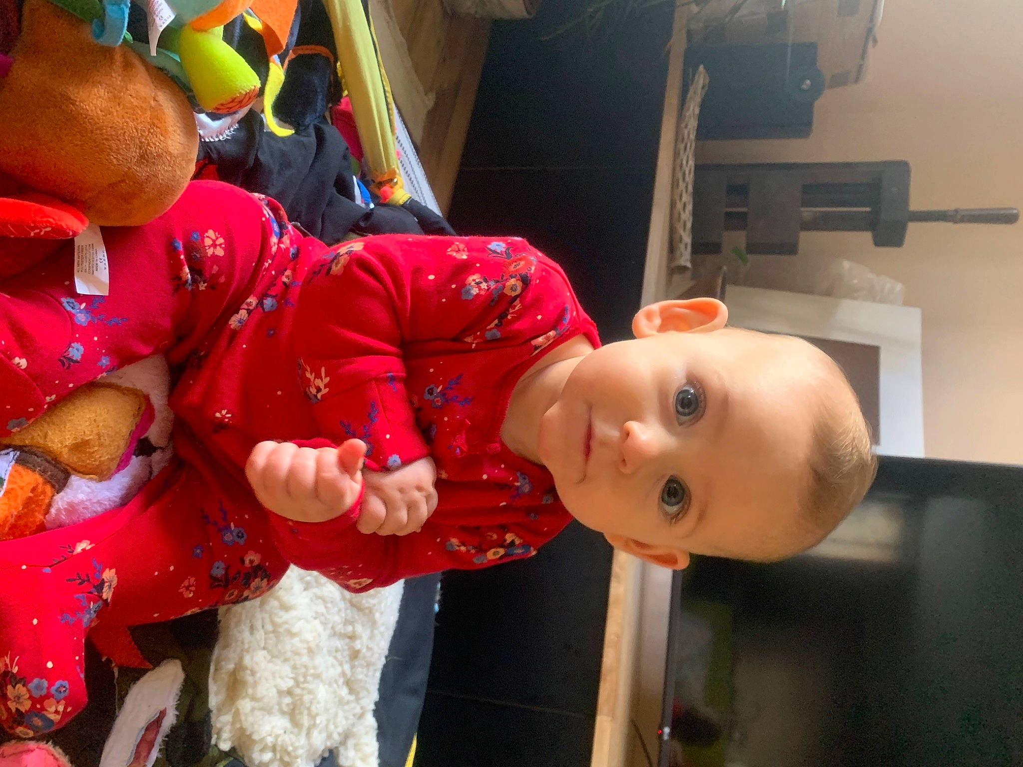 Daphne joined the competition — help win amazing prizes! baby, child, costume, event, fictional_character, fun, happy, hat, leisure, machine, party_supply, person, personal_protective_equipment, room, toddler, toy, tradition