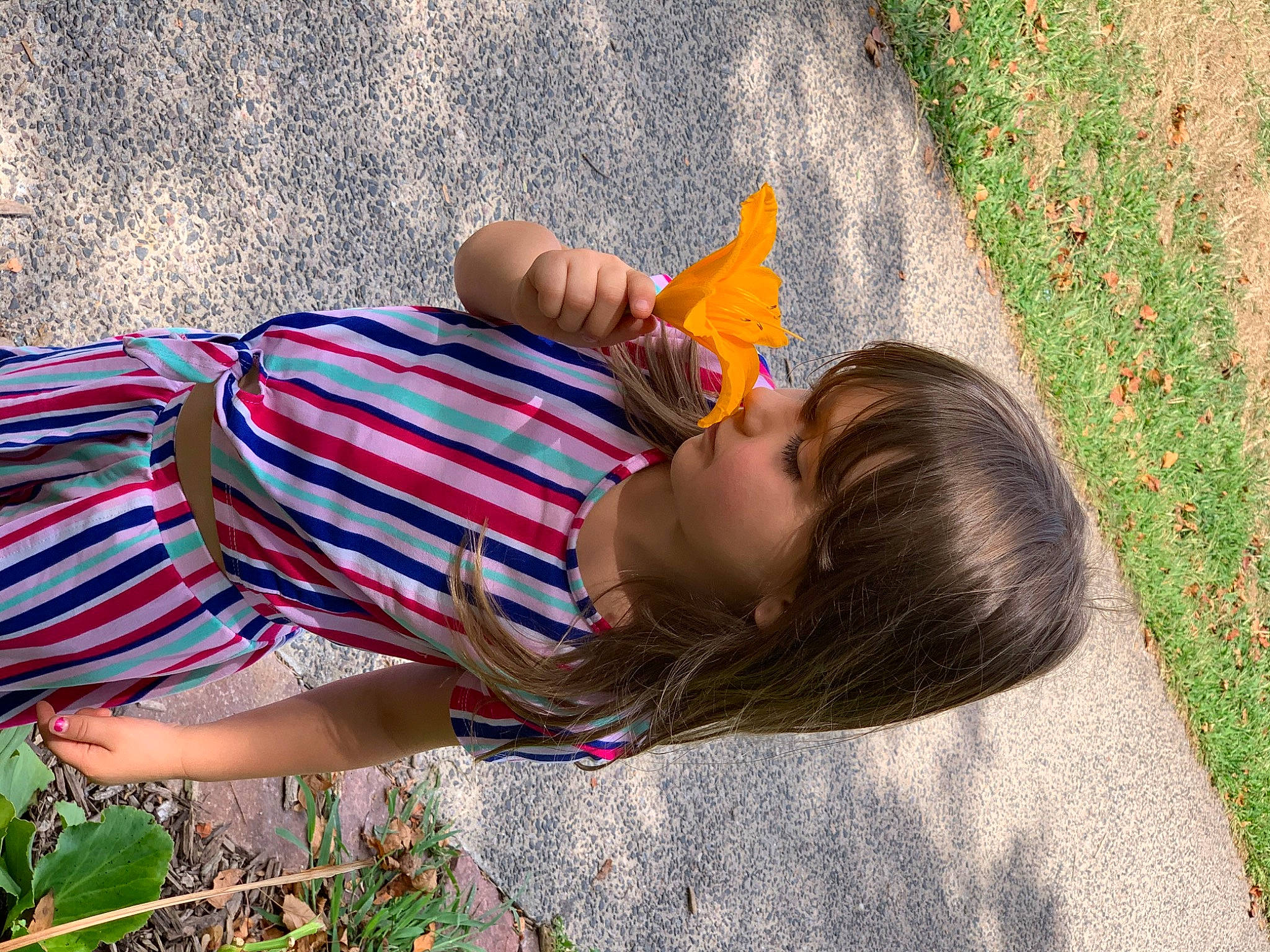 Sadie is registered to the contest to win money with this photo: child, fawn, fun, grass, grass_family, happy, leisure, person, photography, plant, summer, sunlight, tree, vacation, yellow