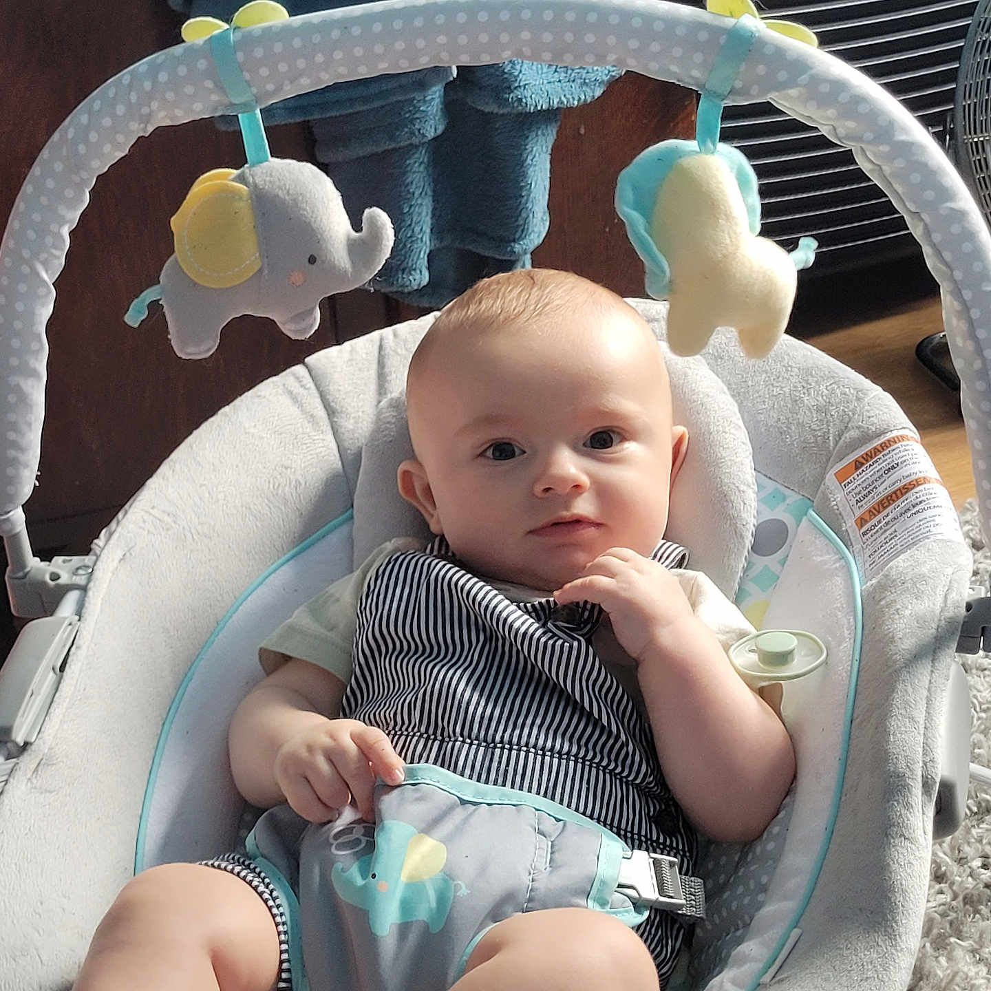 Bastien a rejoint le concours — aidez-le/la à gagner de superbes lots ! baby, baby_rocker, blanket, carpet, child, comfort, cute, elephant_toy, face, feet, hand, indoor, infant, light, pacifier, person, plush_toy, striped_clothing, toy, wood_floor