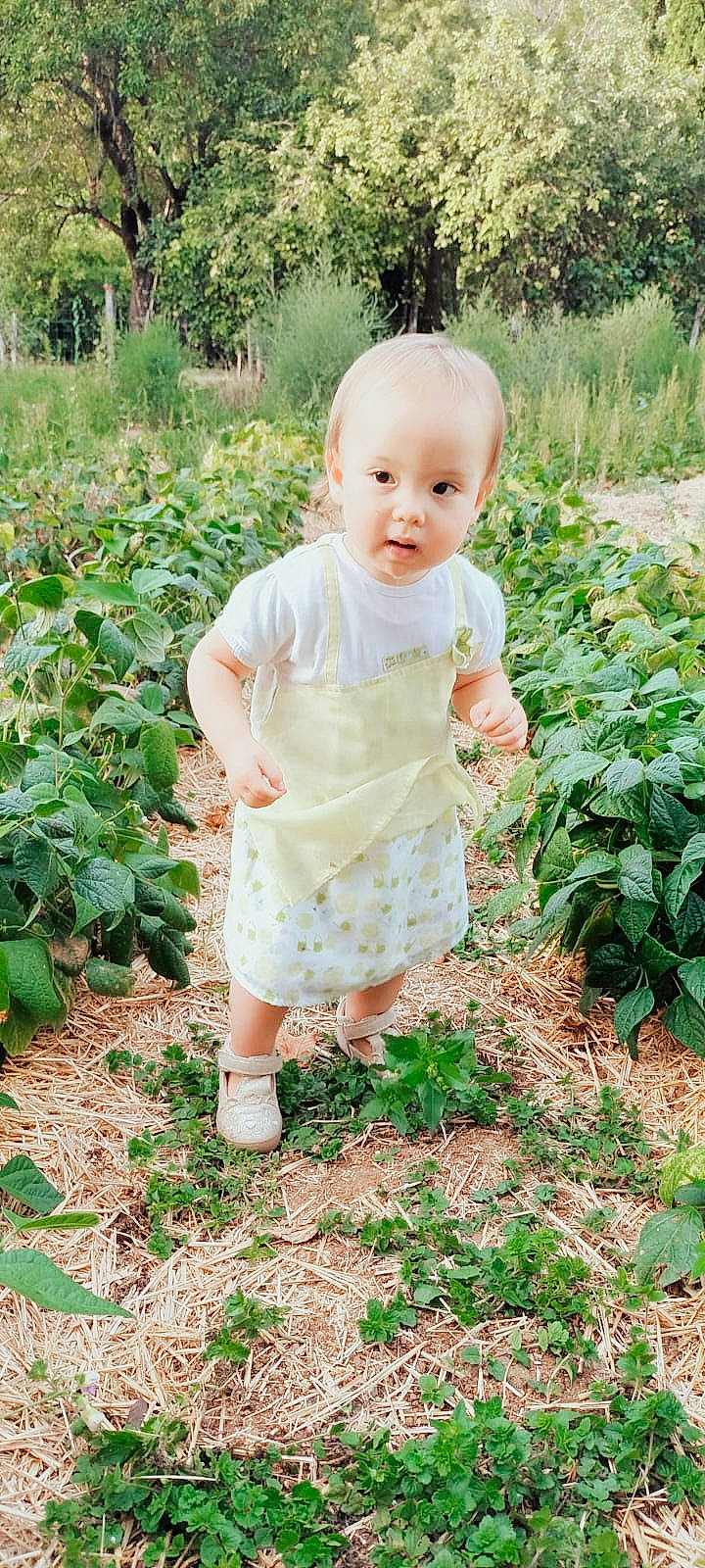 Lilly a rejoint le concours — aidez-le/la à gagner de superbes lots ! baby, baby_toddler_clothing, child, flowering_plant, garden, grass, grass_family, green, groundcover, happy, pattern, people_in_nature, person, plant, shrub, sitting, sleeve, soil, terrestrial_plant, toddler