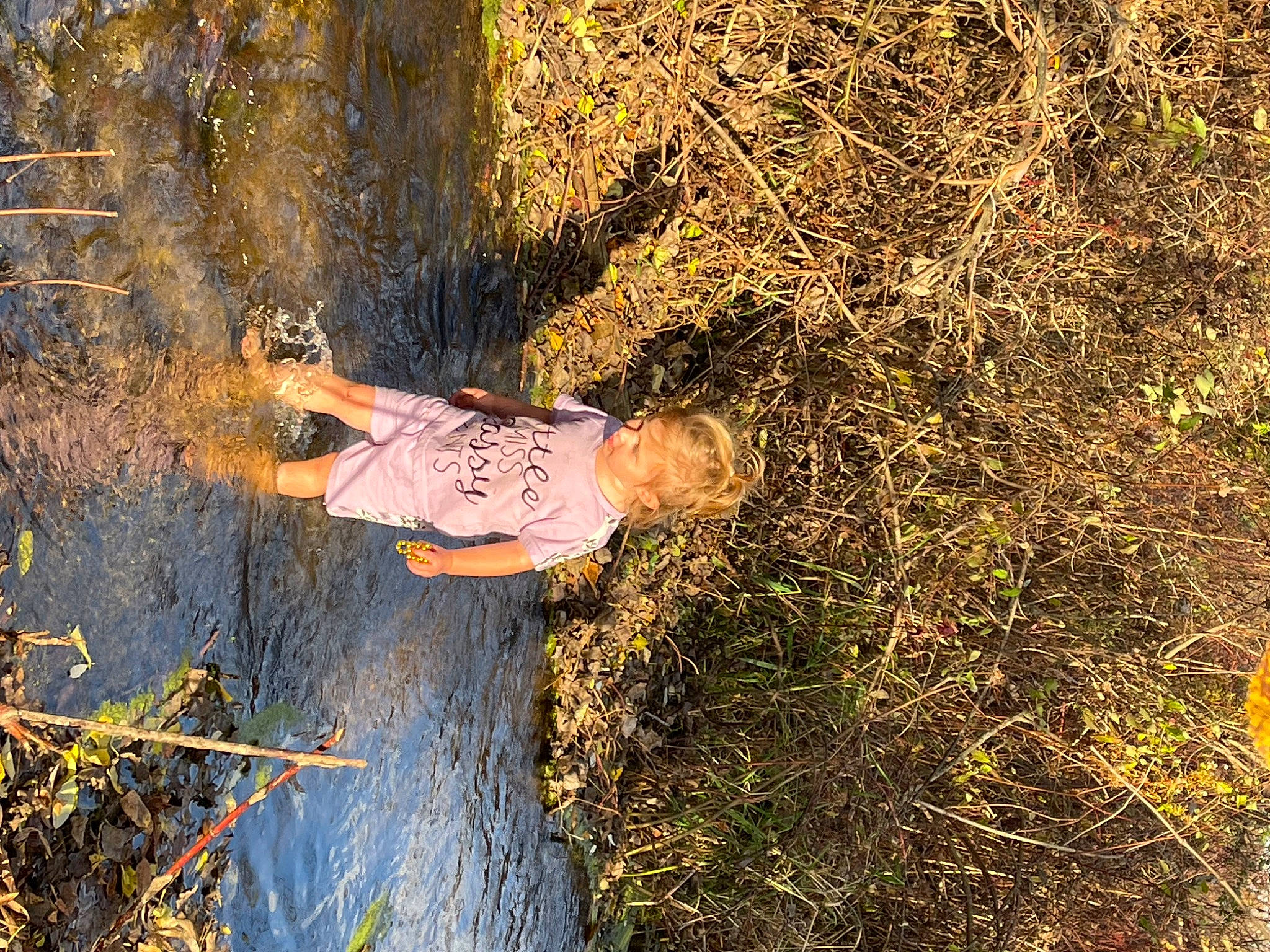 Maci is registered to the contest to win money with this photo: branch, deciduous, forest, fun, grass, grass_family, happy, landscape, mammal, natural_landscape, people_in_nature, person, plant, sunlight, tints_and_shades, tree, trunk, twig, vertebrate, wood