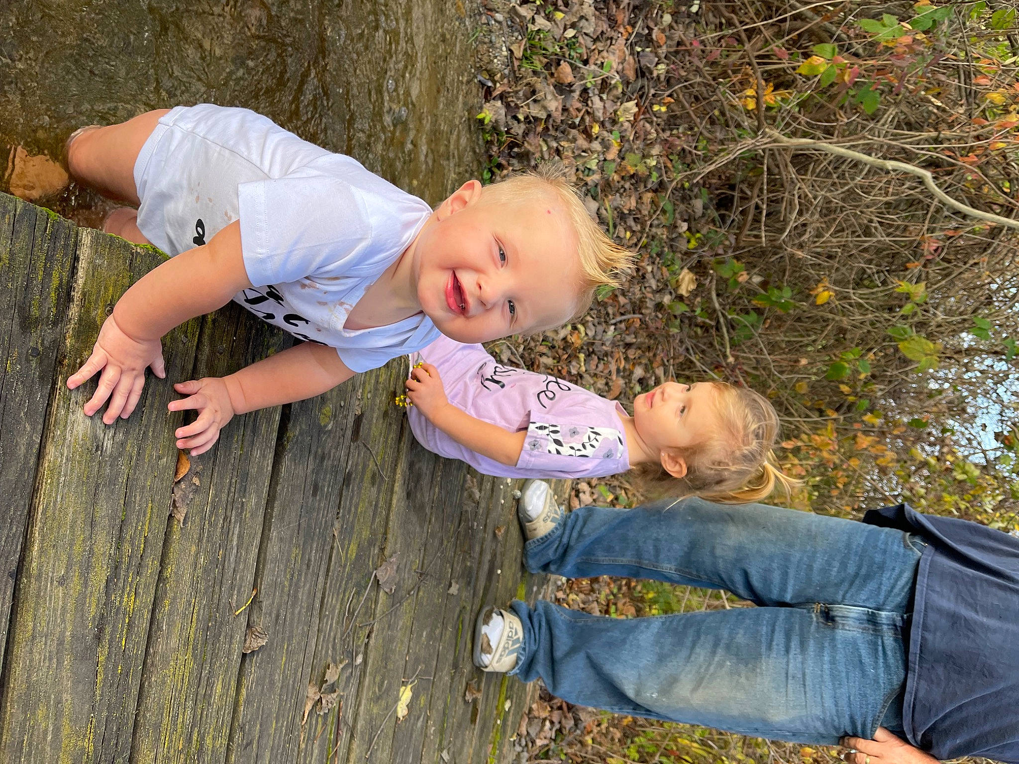 Levi joined the competition — help win amazing prizes! autumn, baby, baby_toddler_clothing, botany, branch, child, fun, grass, grass_family, happy, leaf, leg, leisure, people_in_nature, person, sitting, smile, toddler, tree, wood