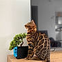 Abarth participe au concours pour gagner de l'argent avec cette photo : cat, bengal_cat, pet, animal, wooden_cabinet, bonsai_tree, nintendo_switch, tv_screen, indoor, furniture, striped, tabby, sitting, side_view, curious, domestic_cat, houseplant, electronics, modern, cozy