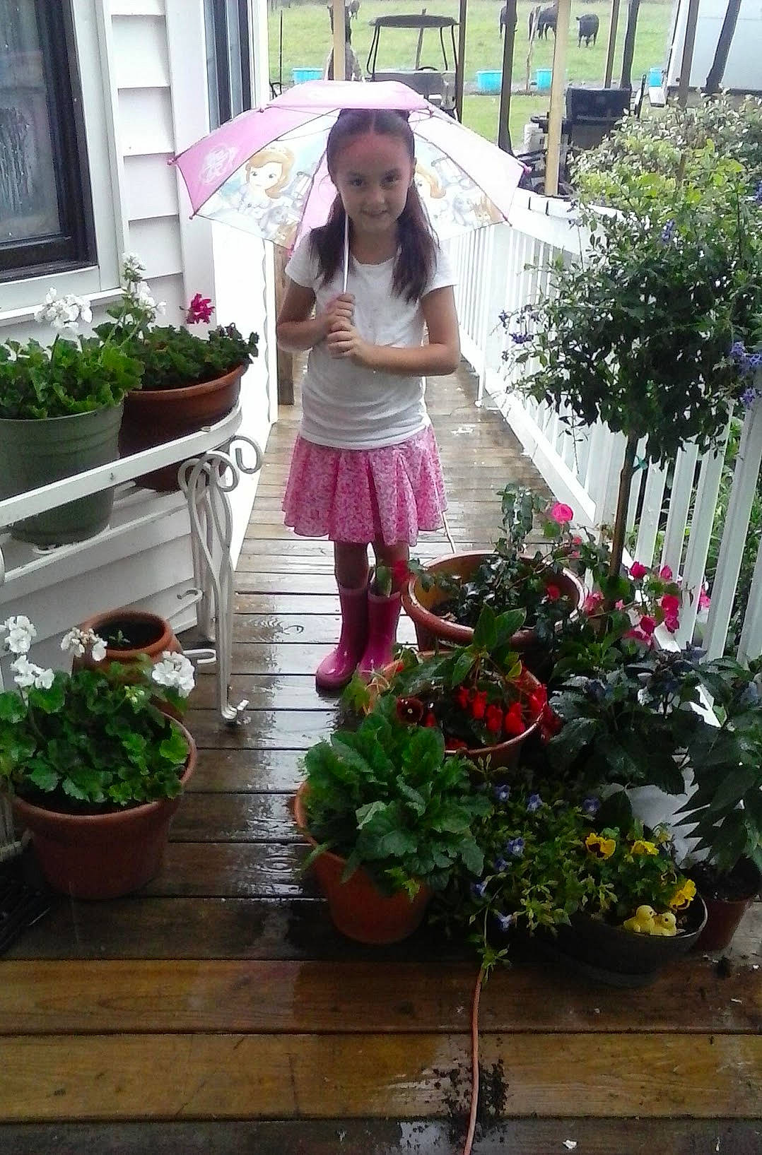 Chelsea joined the competition — help win amazing prizes! balcony, floral_design, floristry, flower, flowerpot, garden, houseplant, person, plant, yard