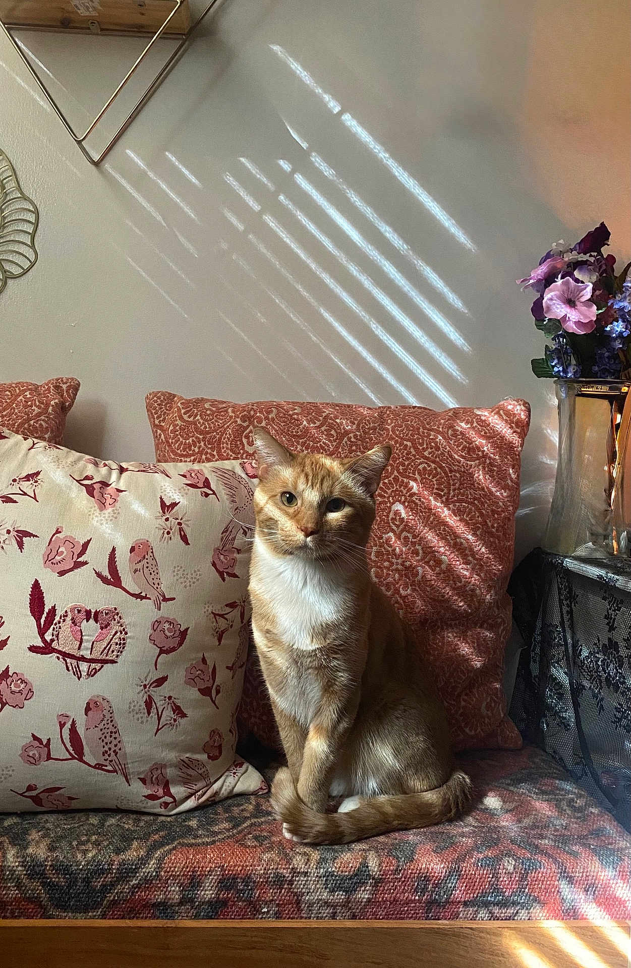 Jasper is registered to the contest to win money with this photo: cat, ginger_cat, orange_tabby, pet, pillow, patterned_pillow, floral_pillow, cushions, vase, flowers, sunlight, window_blinds, shadow_lines, bench, fabric, cozy, indoor, whiskers, sitting, portrait