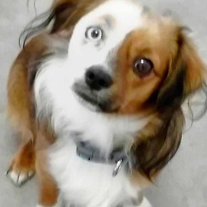 Half