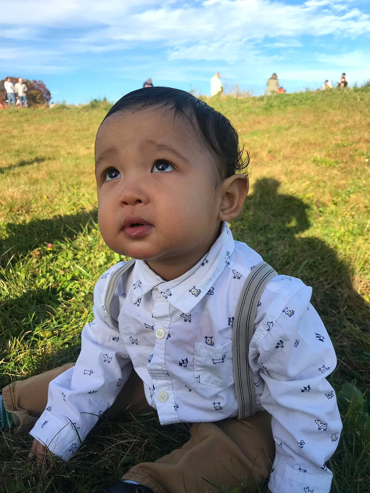 Josue joined the competition — help win amazing prizes! baby, cheek, child, face, grass, grassland, happy, head, leaf, male, meadow, mountain, person, photography, plant, sitting, skin, sky, smile, toddler