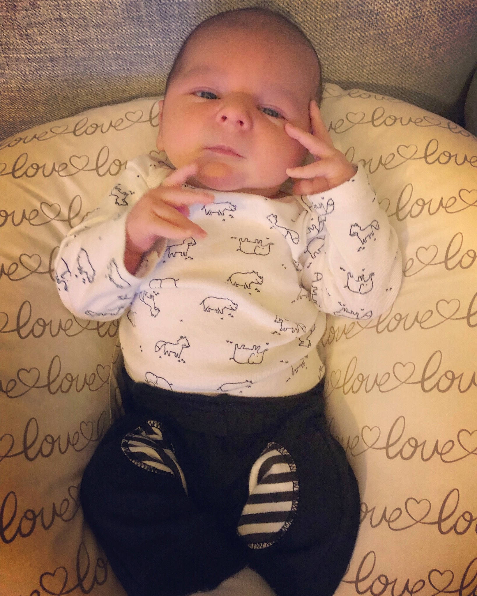 Howie is registered to the contest to win money with this photo: abdomen, arm, baby, baby_products, baby_toddler_clothing, cheek, child, forehead, happy, leg, person, product, skin, sleep, sleeve, smile, toddler, trunk