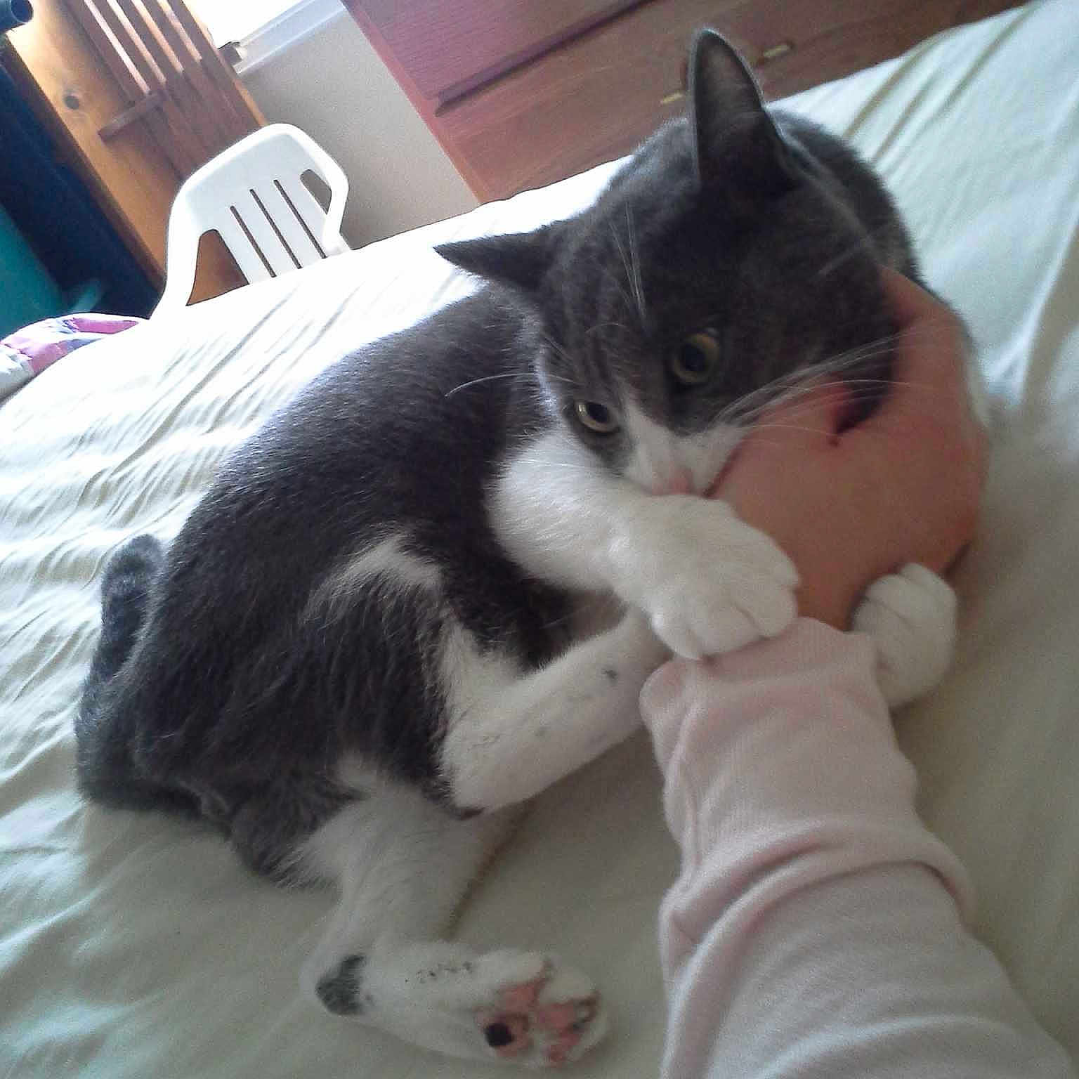 Hardison joined the competition — help win amazing prizes!