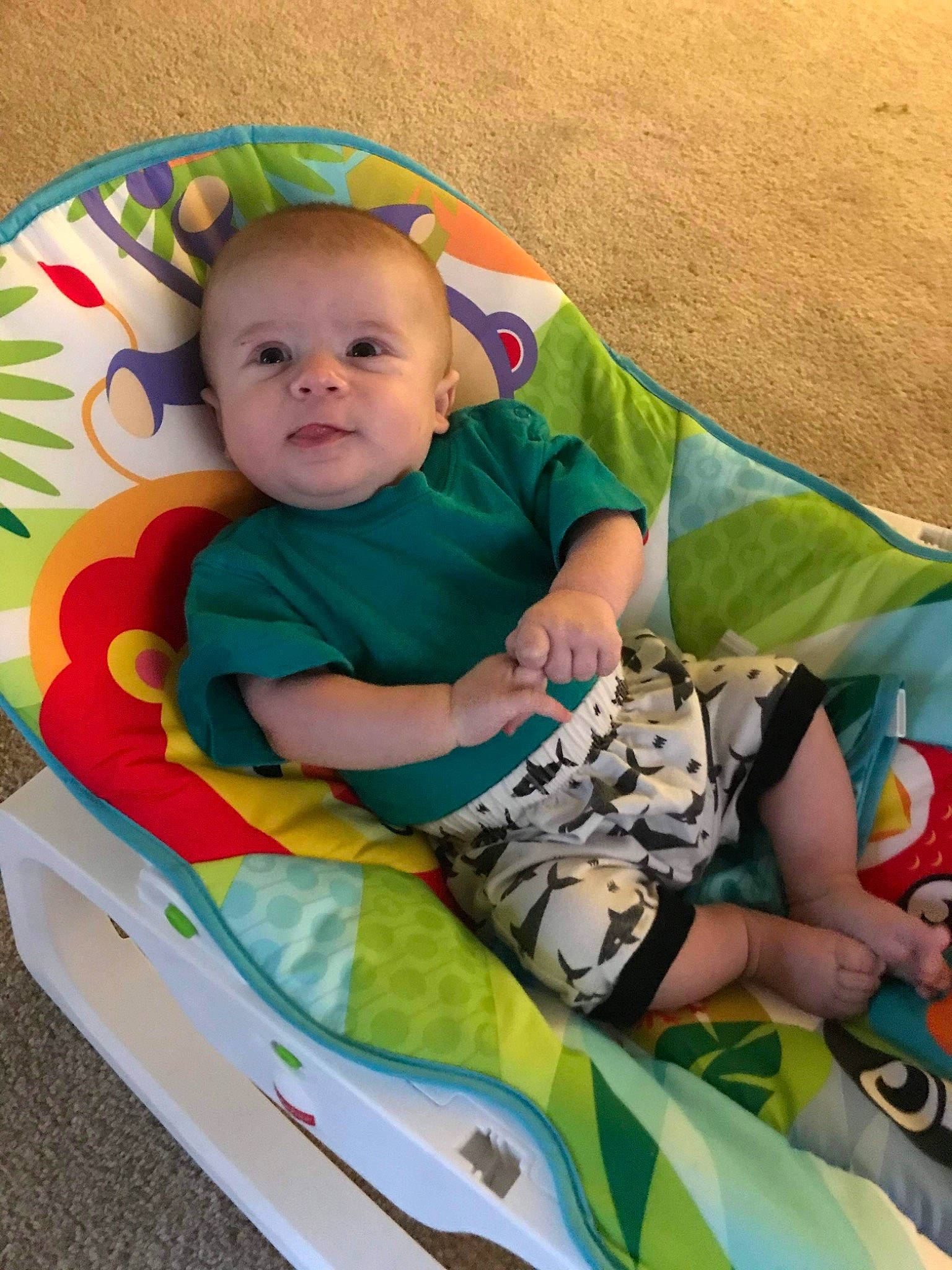 Nicholas joined the competition — help win amazing prizes! arm, baby, baby_carriage, baby_products, baby_toddler_clothing, chair, child, comfort, fun, grass, happy, head, human_body, lap, leisure, mammal, person, sitting, t_shirt, toddler
