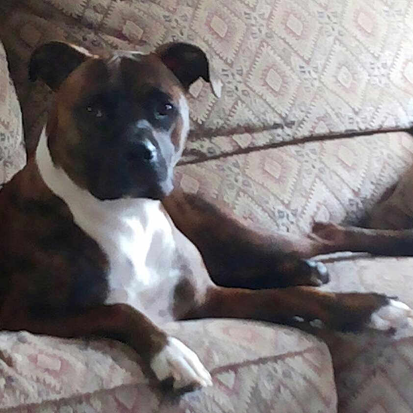 Norton joined the competition — help win amazing prizes!